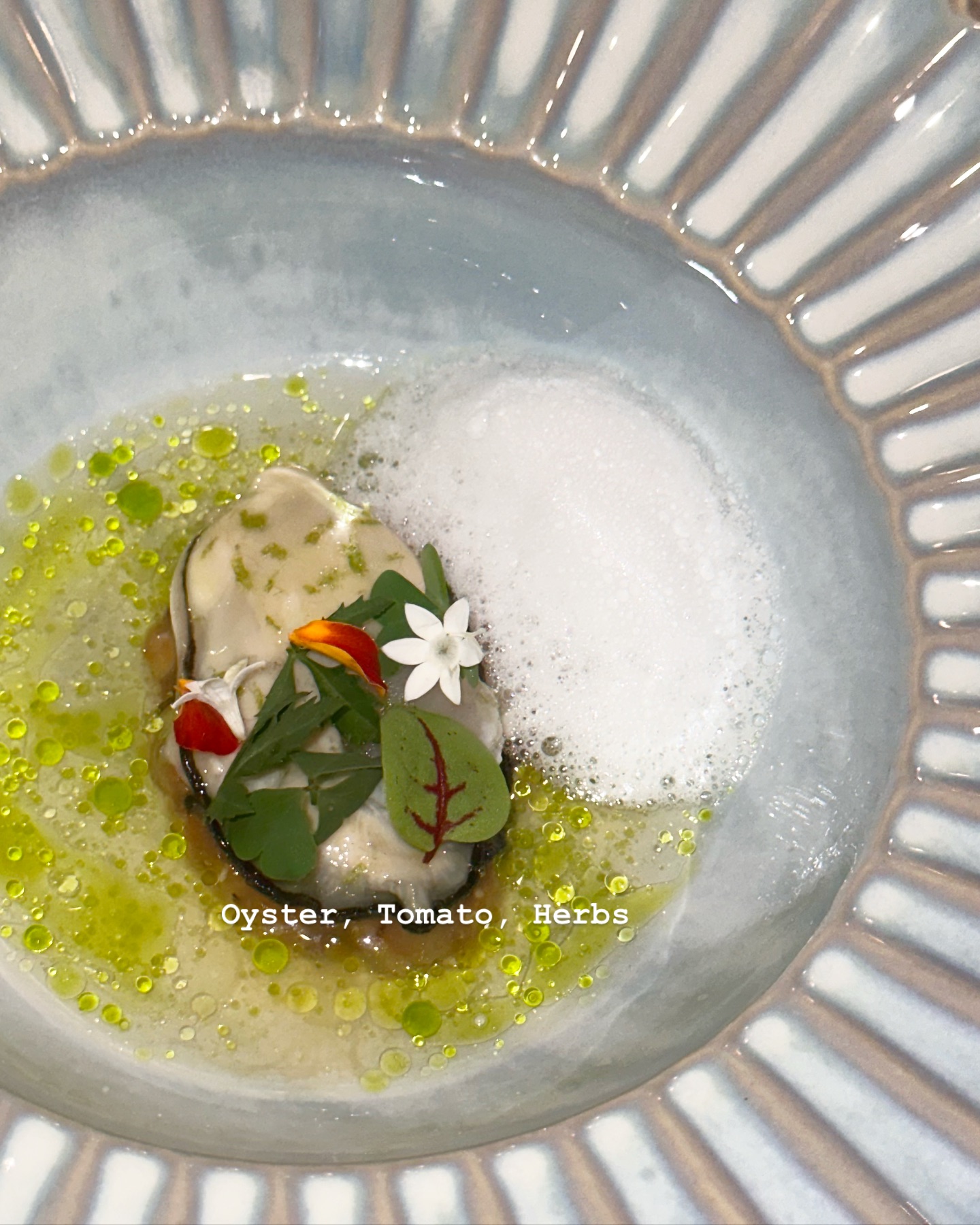 วุ้นเส้น - วิริฒิพา ภักดีประสงค์