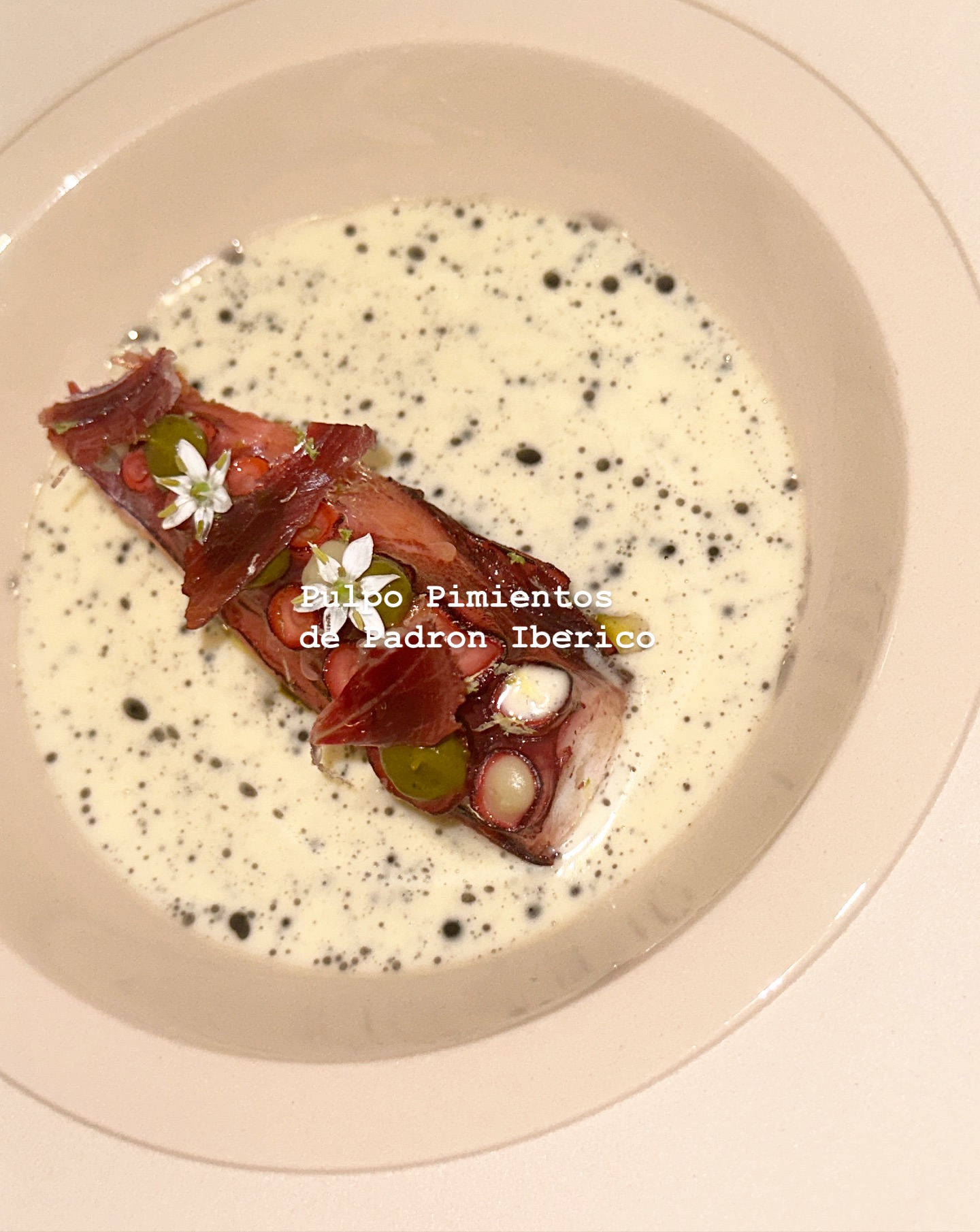 วุ้นเส้น - วิริฒิพา ภักดีประสงค์