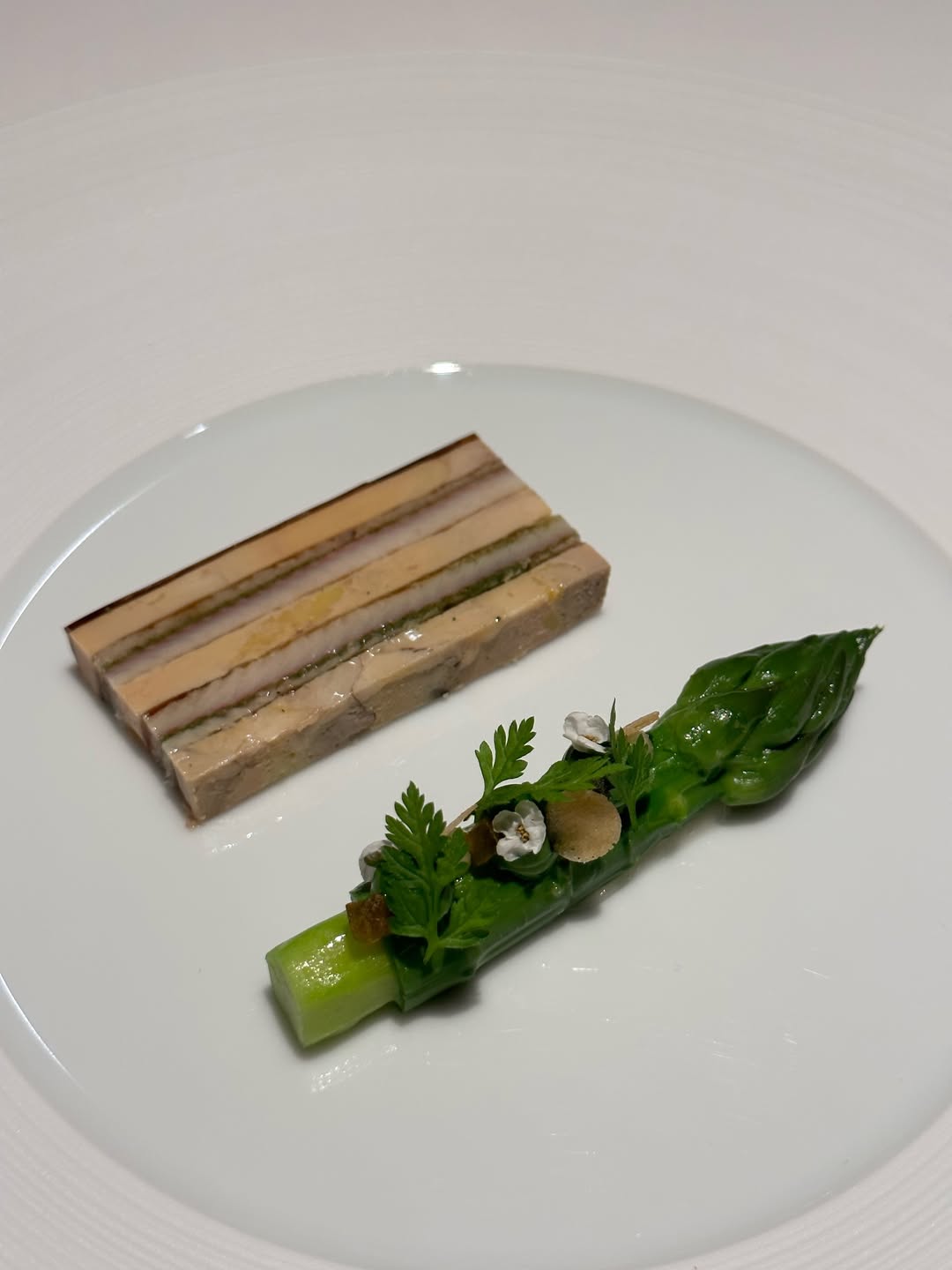 วุ้นเส้น - วิริฒิพา ภักดีประสงค์