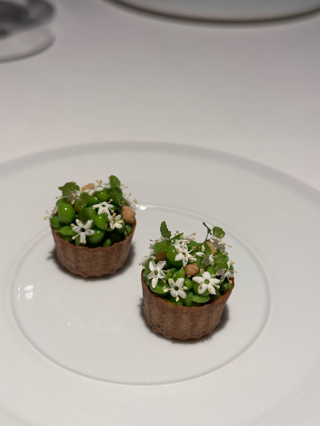 วุ้นเส้น - วิริฒิพา ภักดีประสงค์