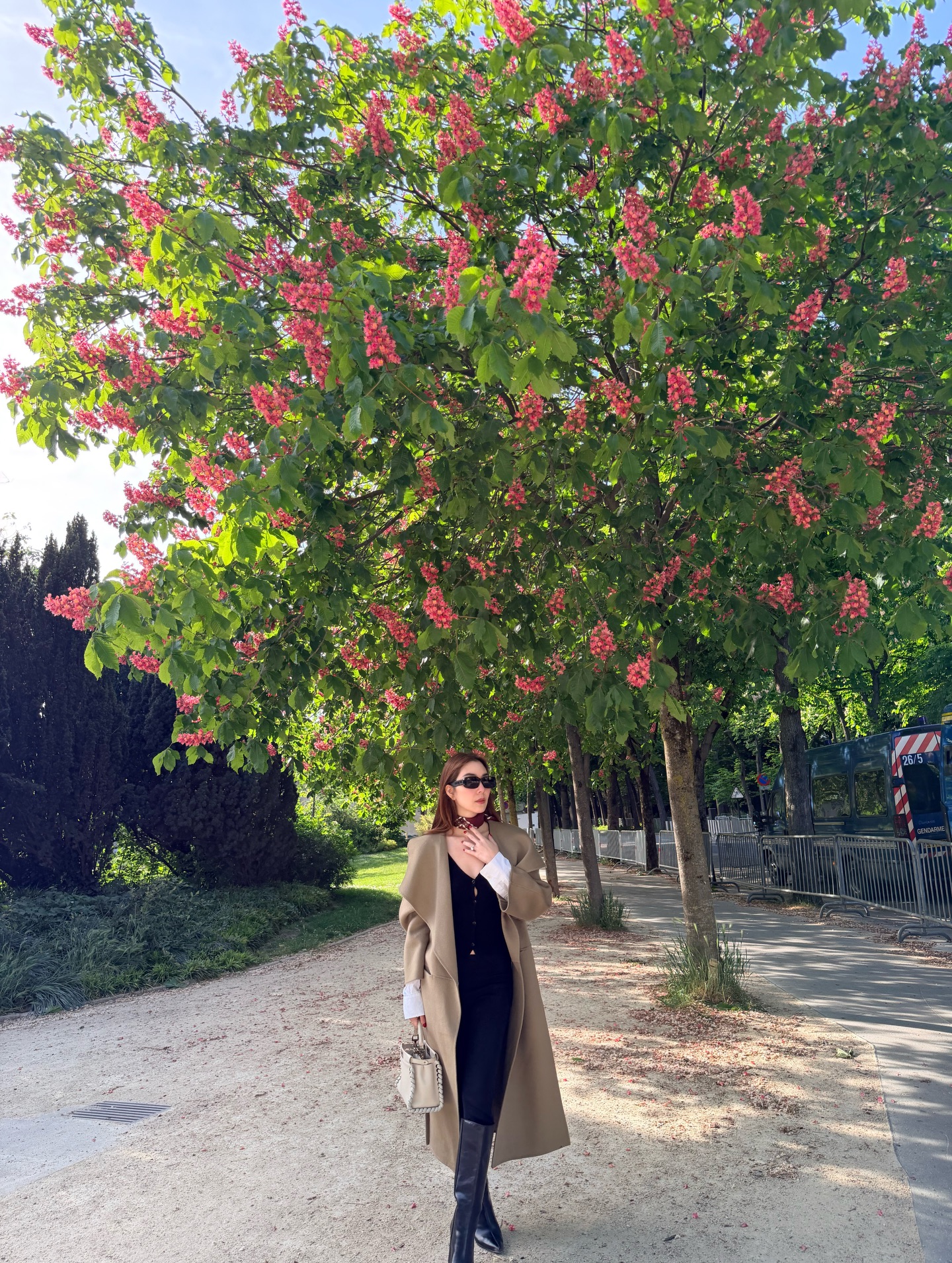 วุ้นเส้น - วิริฒิพา ภักดีประสงค์