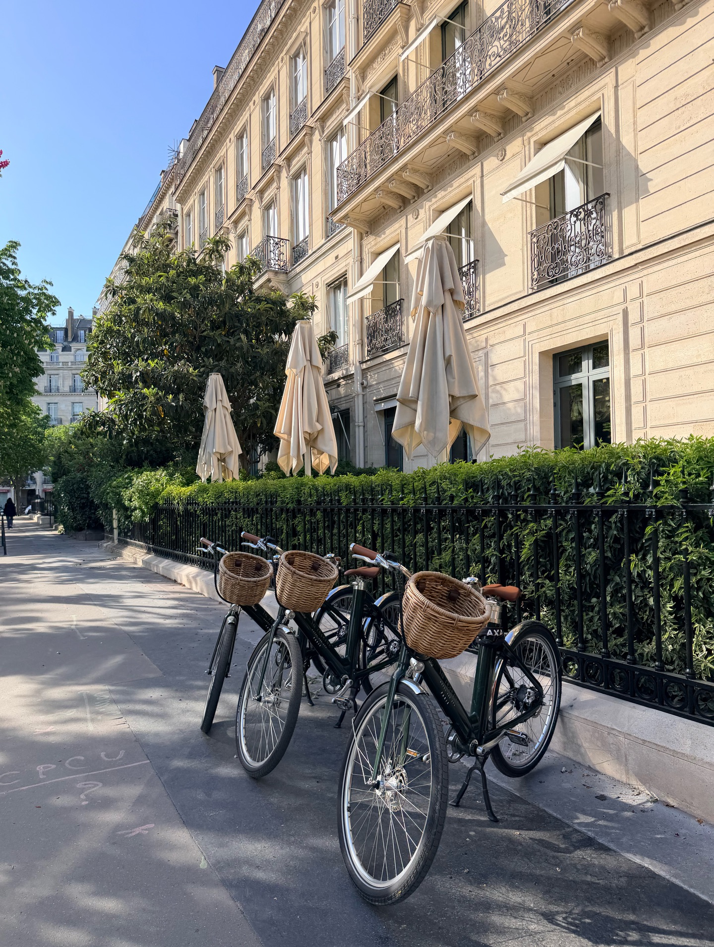 วุ้นเส้น - วิริฒิพา ภักดีประสงค์