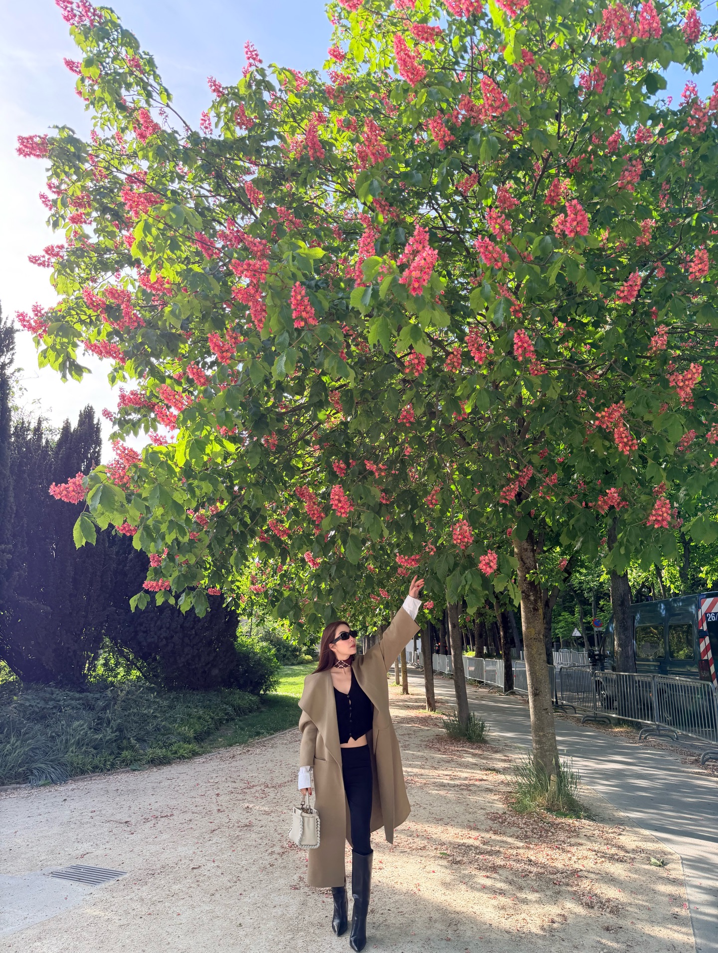 วุ้นเส้น - วิริฒิพา ภักดีประสงค์