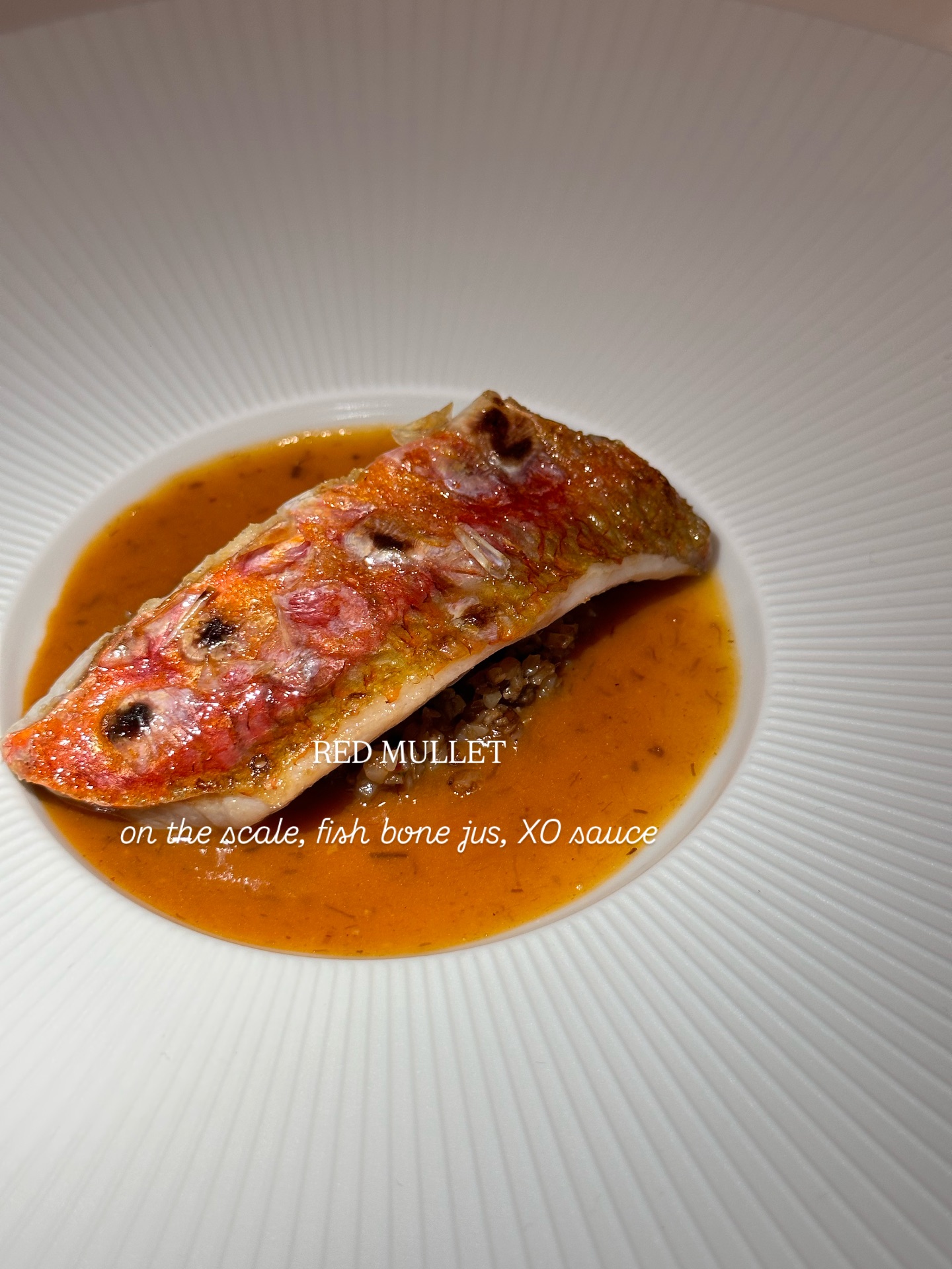 วุ้นเส้น - วิริฒิพา ภักดีประสงค์