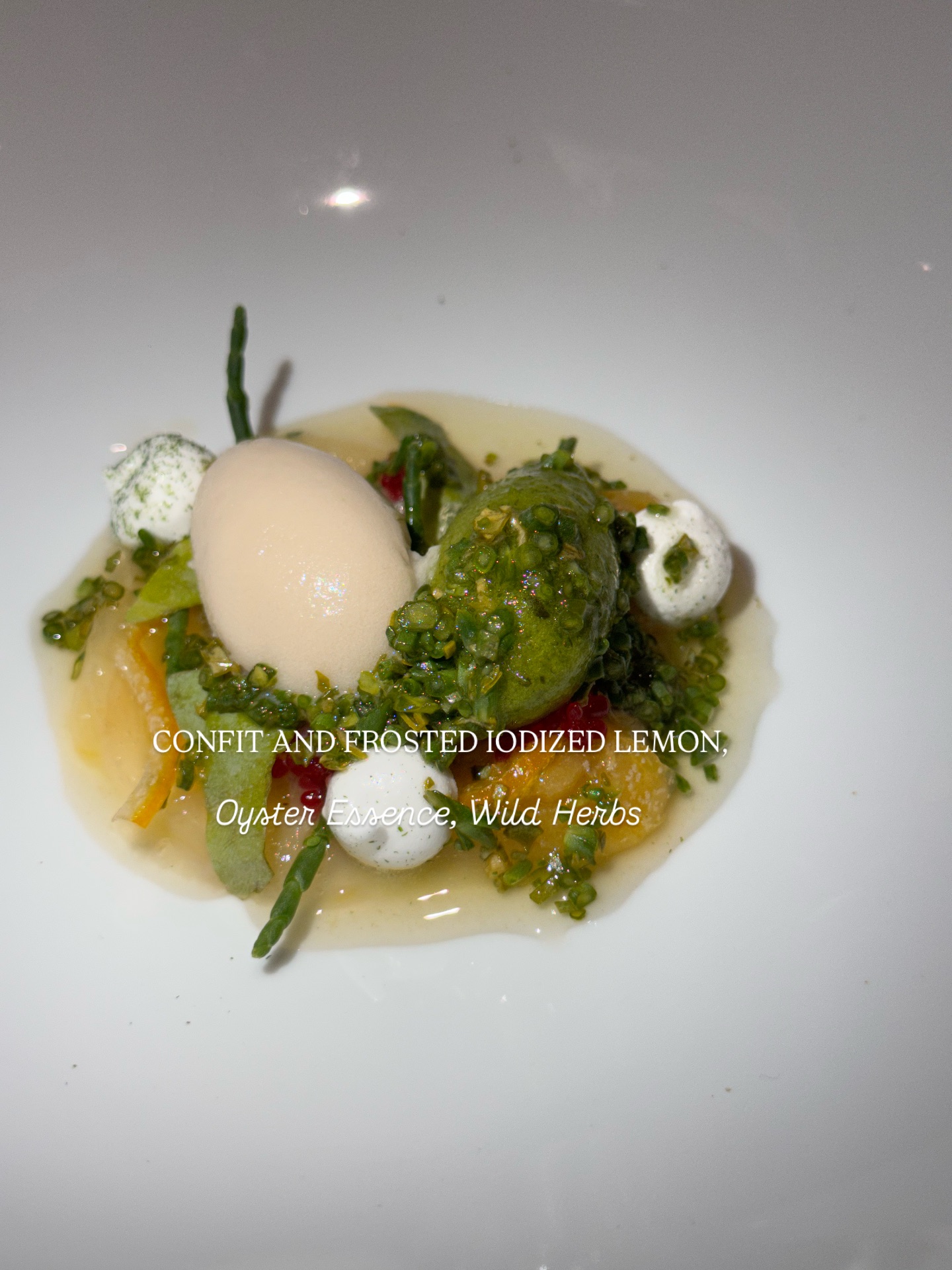 วุ้นเส้น - วิริฒิพา ภักดีประสงค์