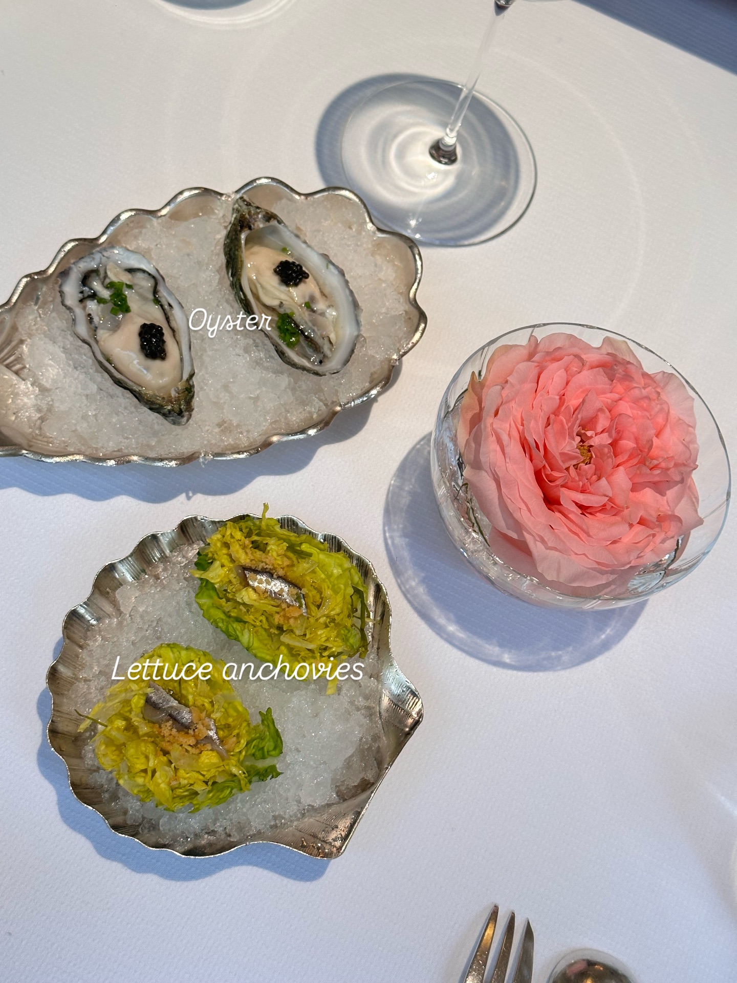 วุ้นเส้น - วิริฒิพา ภักดีประสงค์