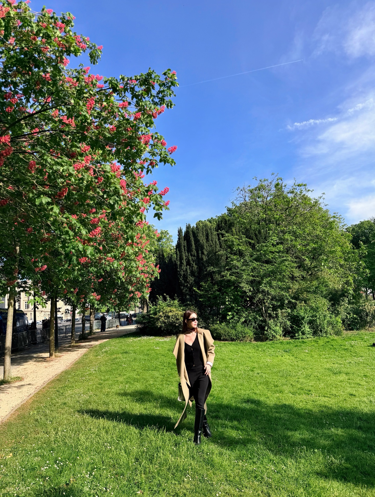 วุ้นเส้น - วิริฒิพา ภักดีประสงค์