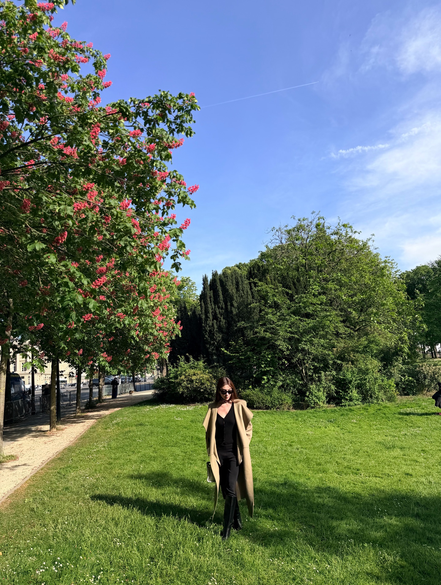 วุ้นเส้น - วิริฒิพา ภักดีประสงค์