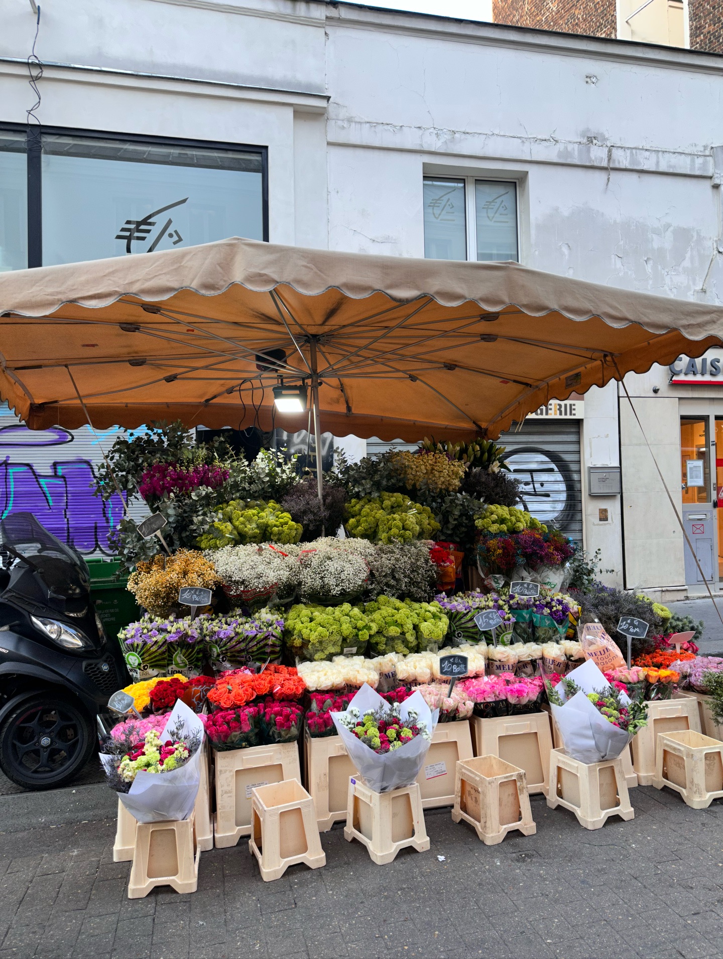 วุ้นเส้น - วิริฒิพา ภักดีประสงค์