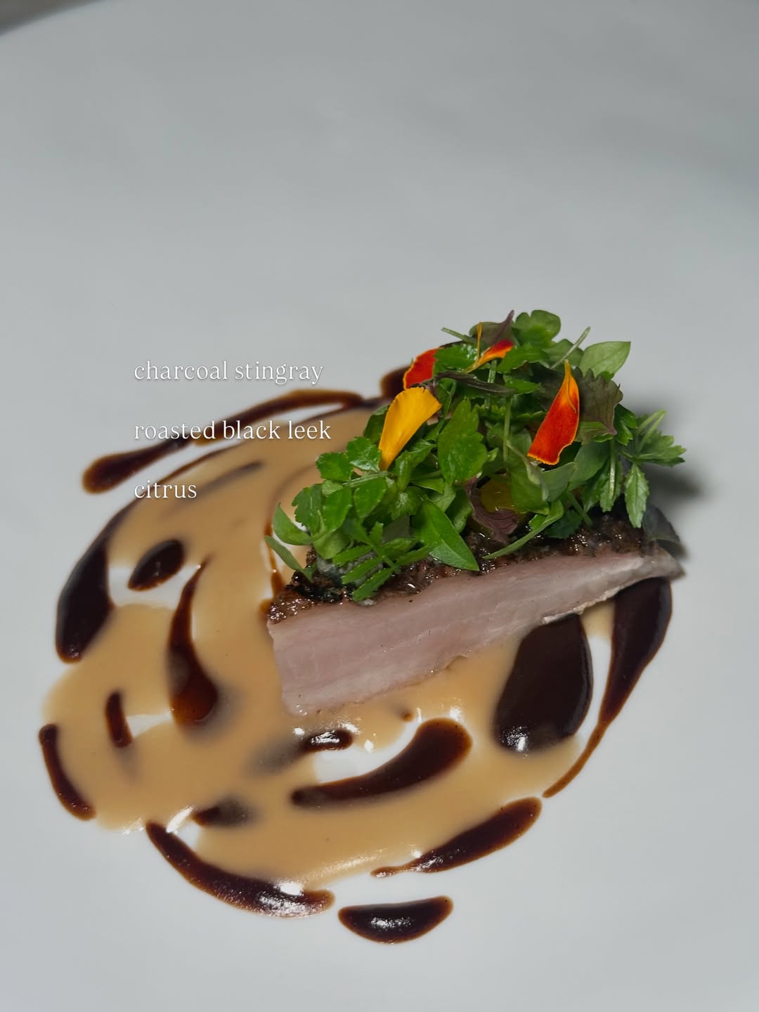 วุ้นเส้น - วิริฒิพา ภักดีประสงค์