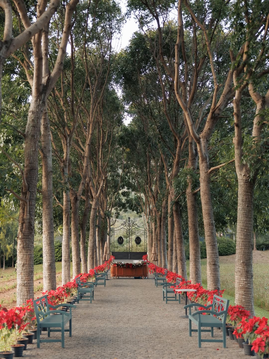 แกรนด์ - พรรณวรท ด้วยเศียรเกล้า