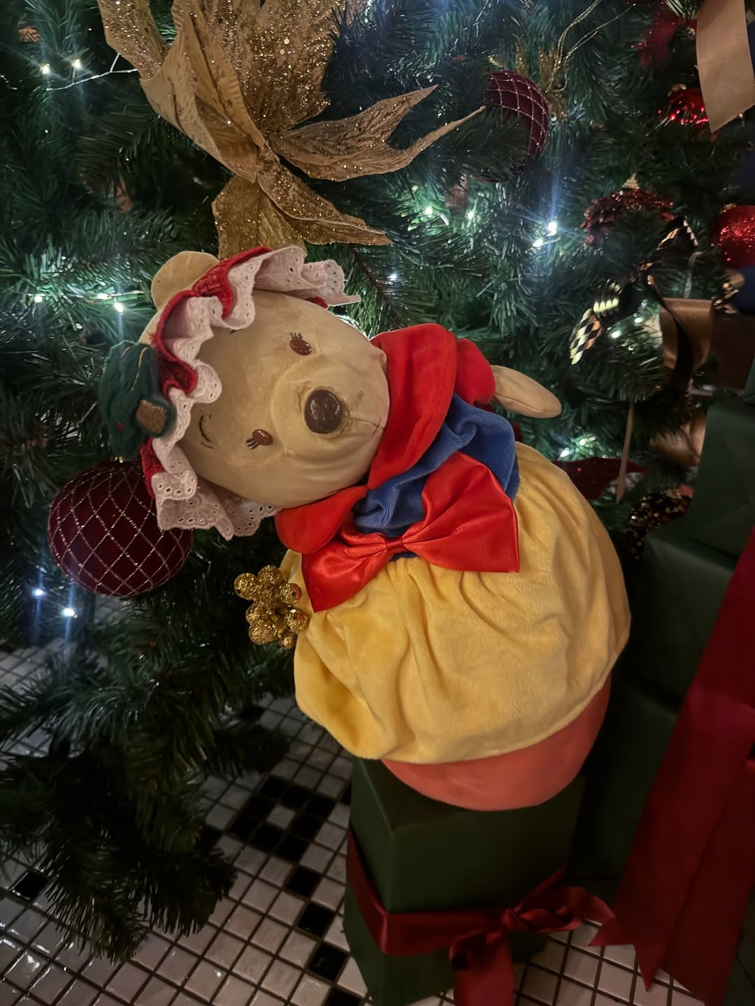 แกรนด์ - พรรณวรท ด้วยเศียรเกล้า