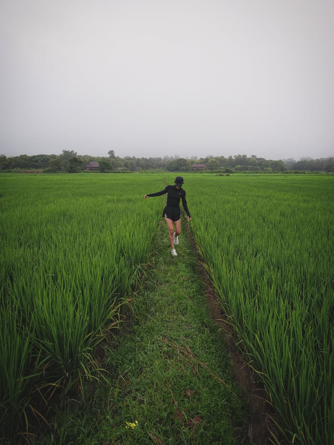 แอน ทองประสม