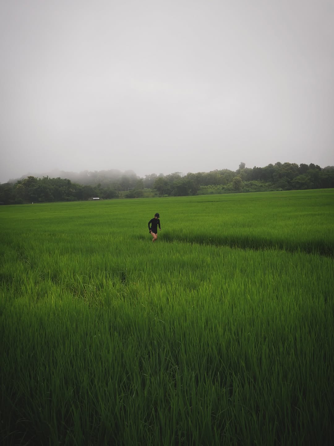 แอน ทองประสม