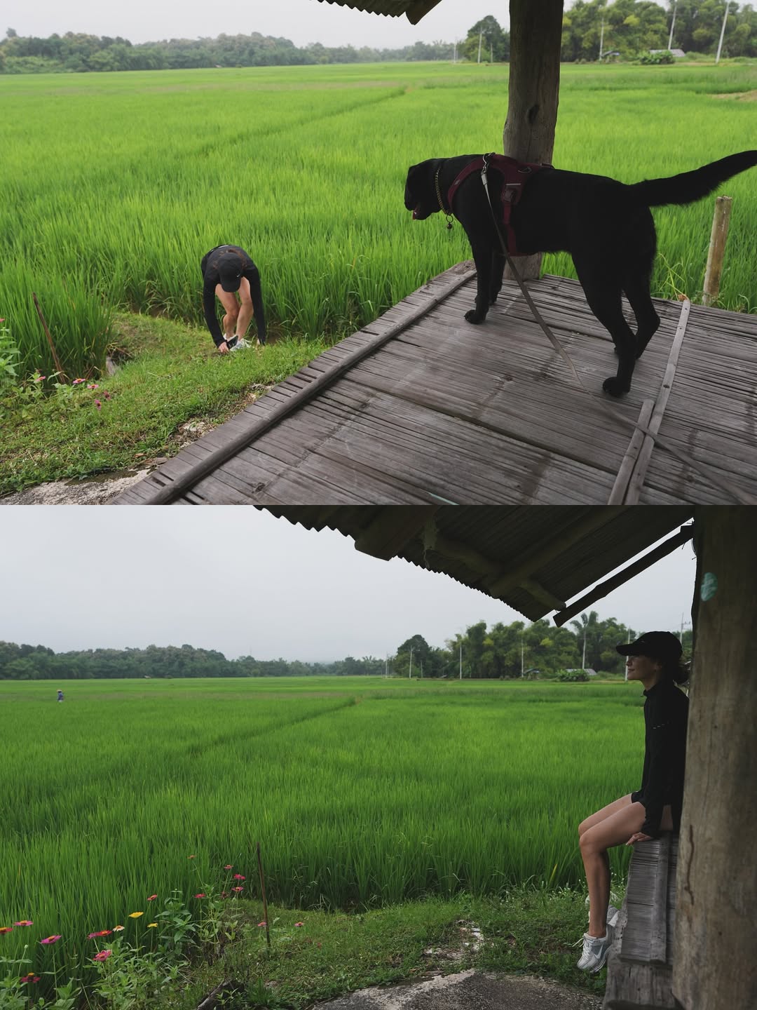 แอน ทองประสม
