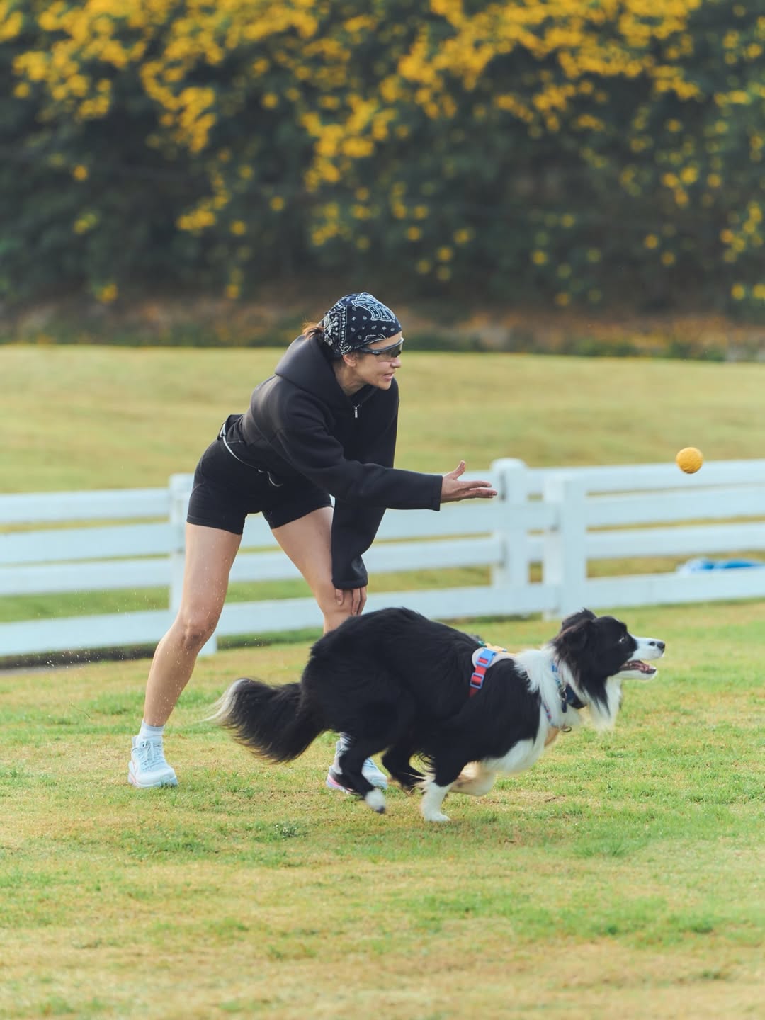 แอน ทองประสม