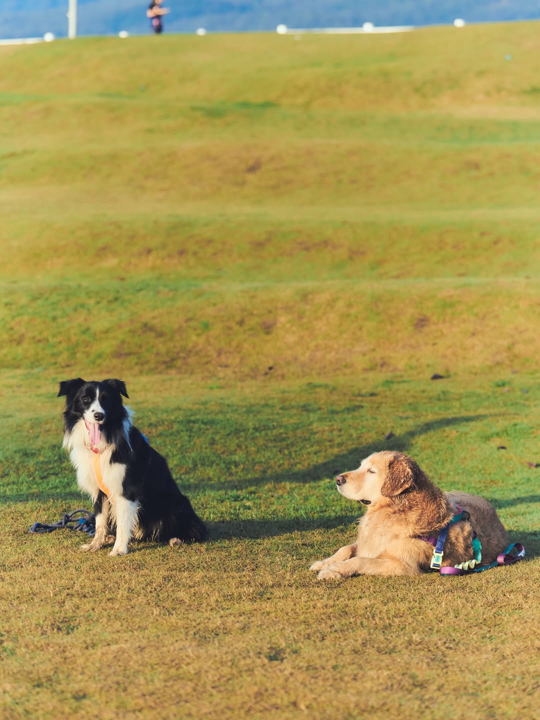 แอน ทองประสม