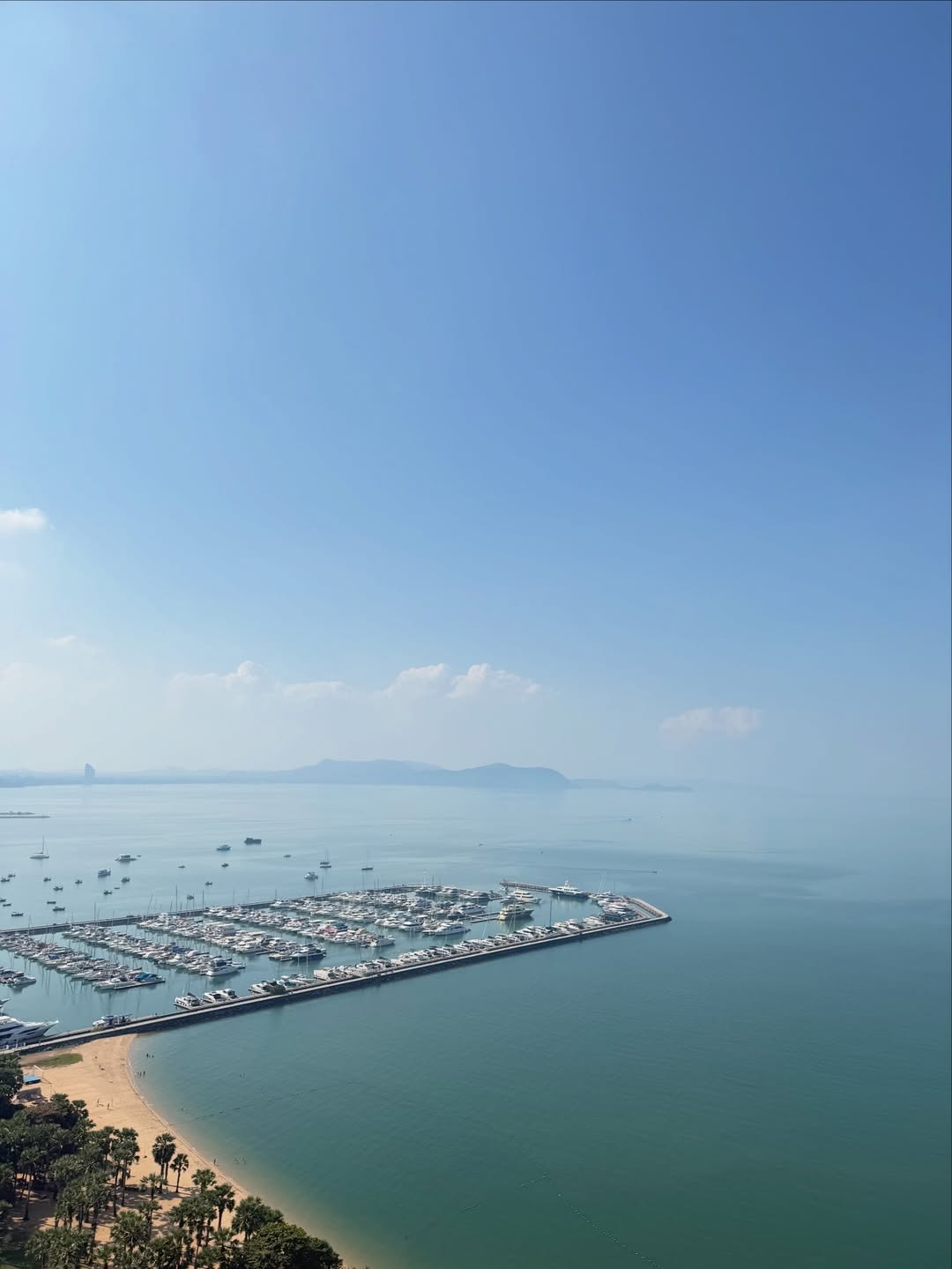 แอน ทองประสม