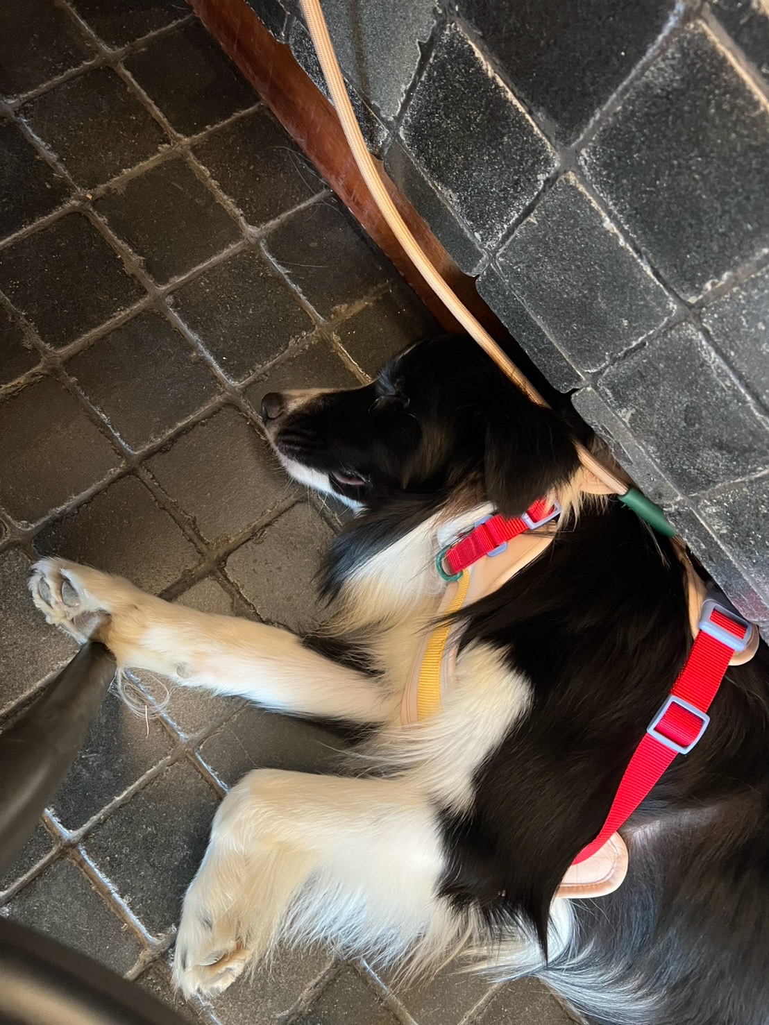 แอน ทองประสม