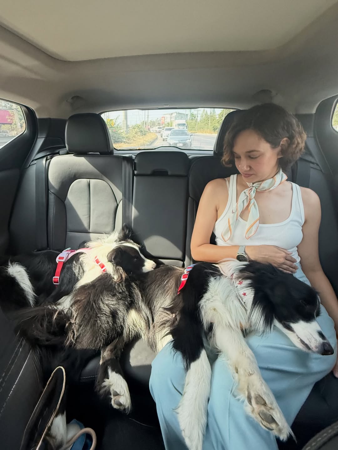 แอน ทองประสม