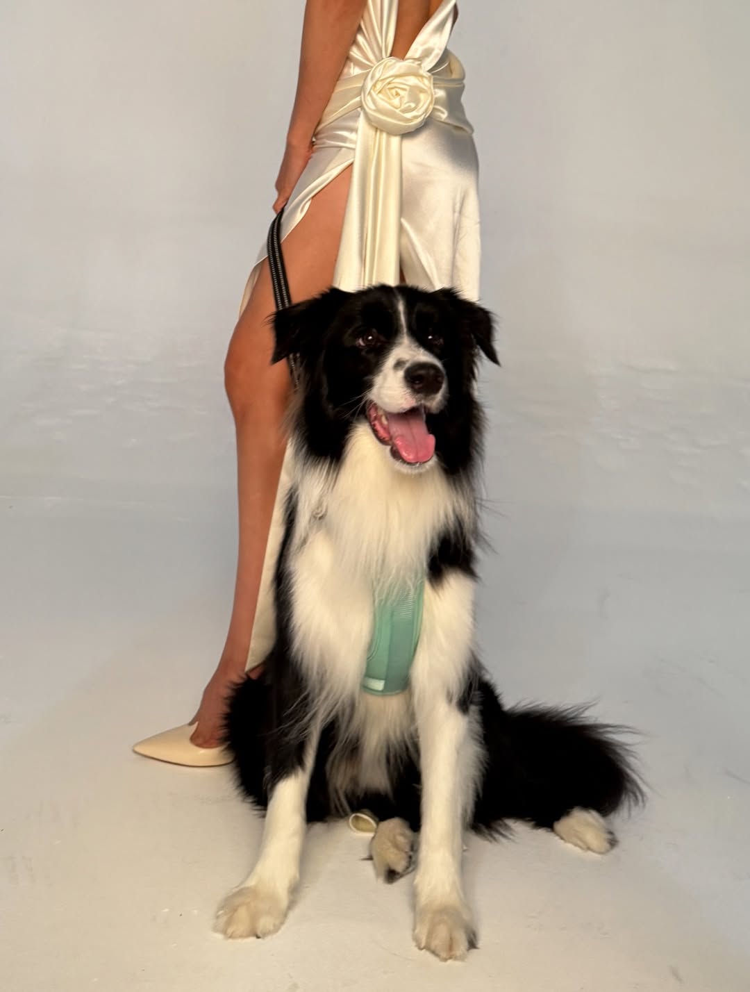 แอน ทองประสม