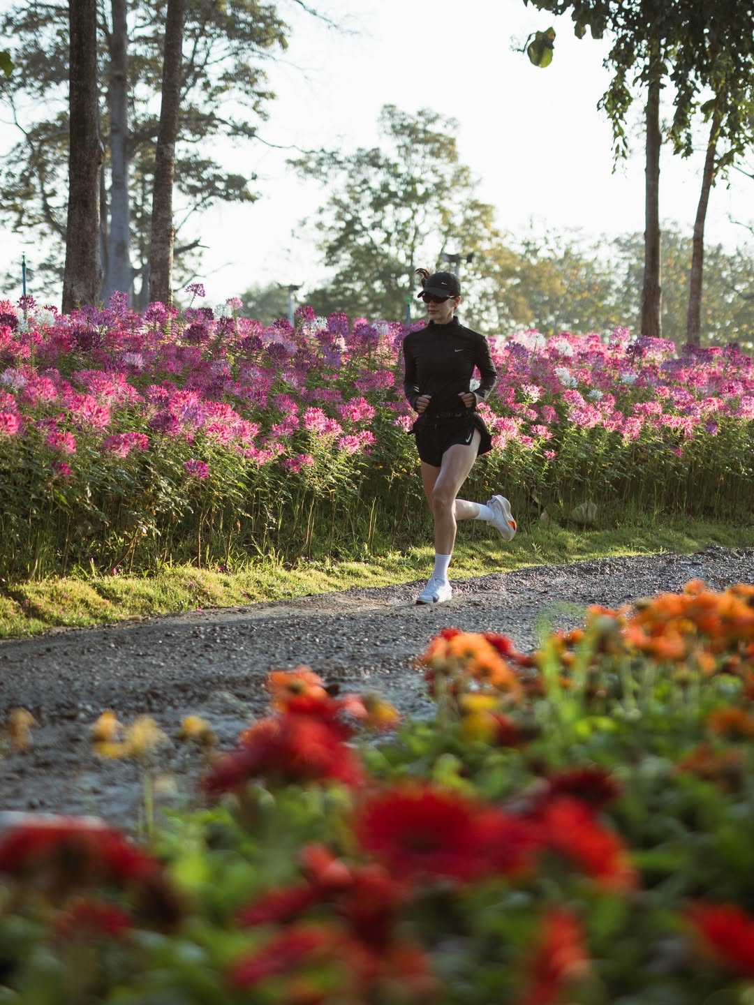 แอน ทองประสม