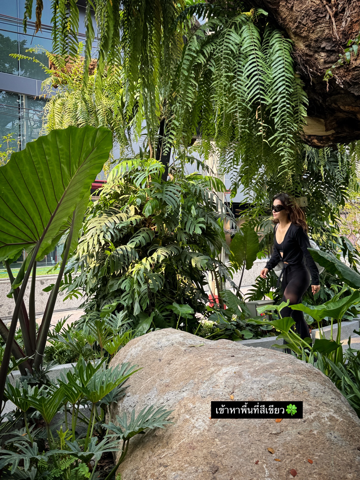 แอน ทองประสม