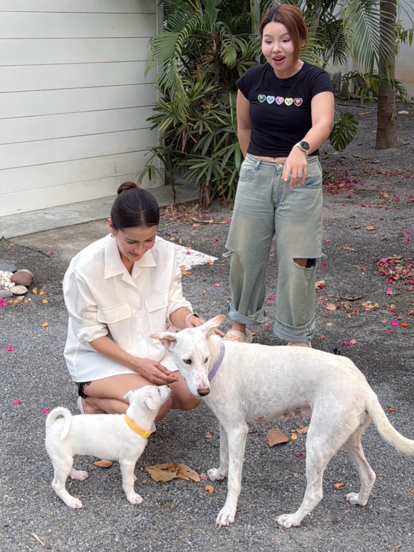 แอน ทองประสม