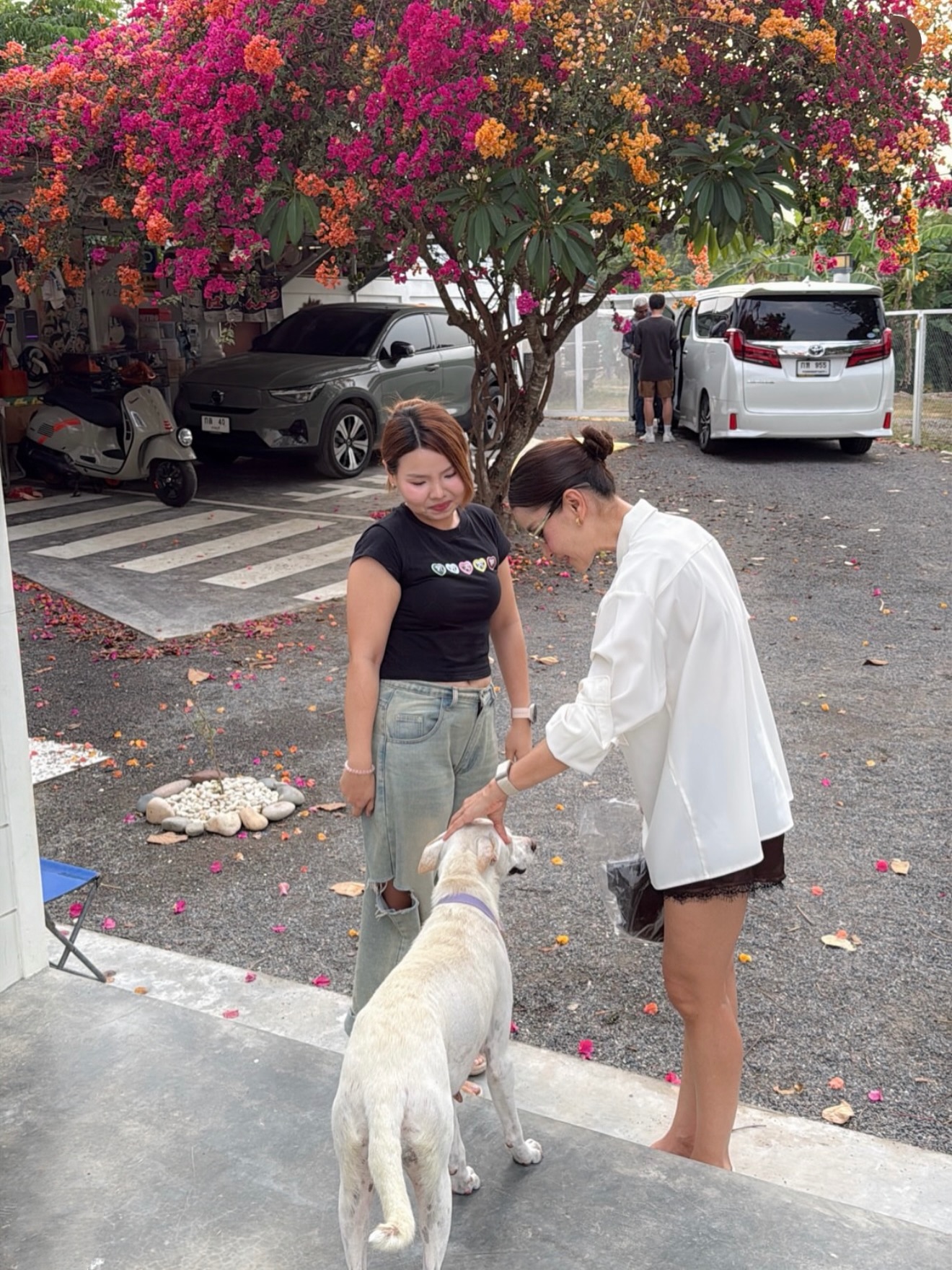 แอน ทองประสม