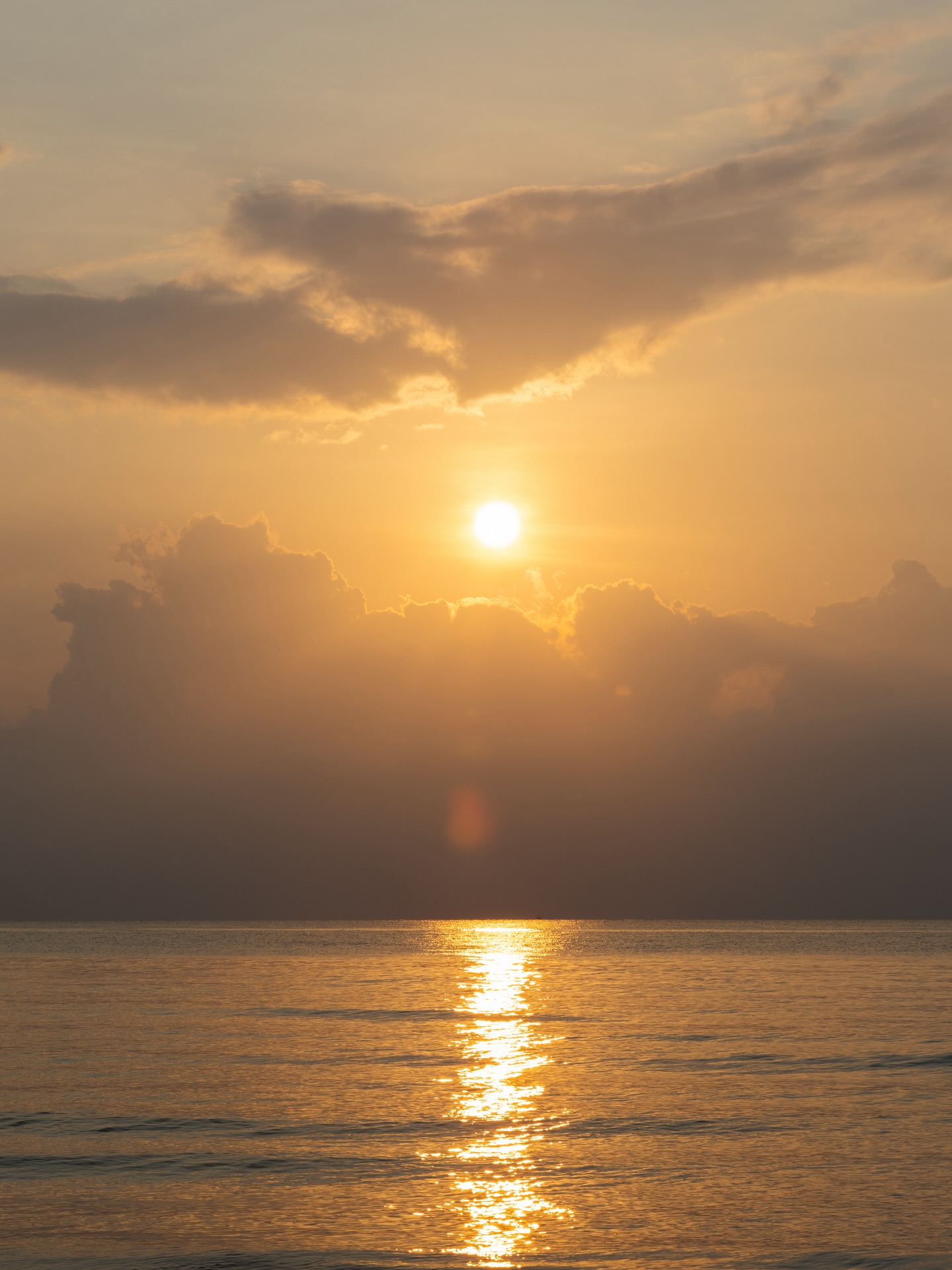 แอน ทองประสม