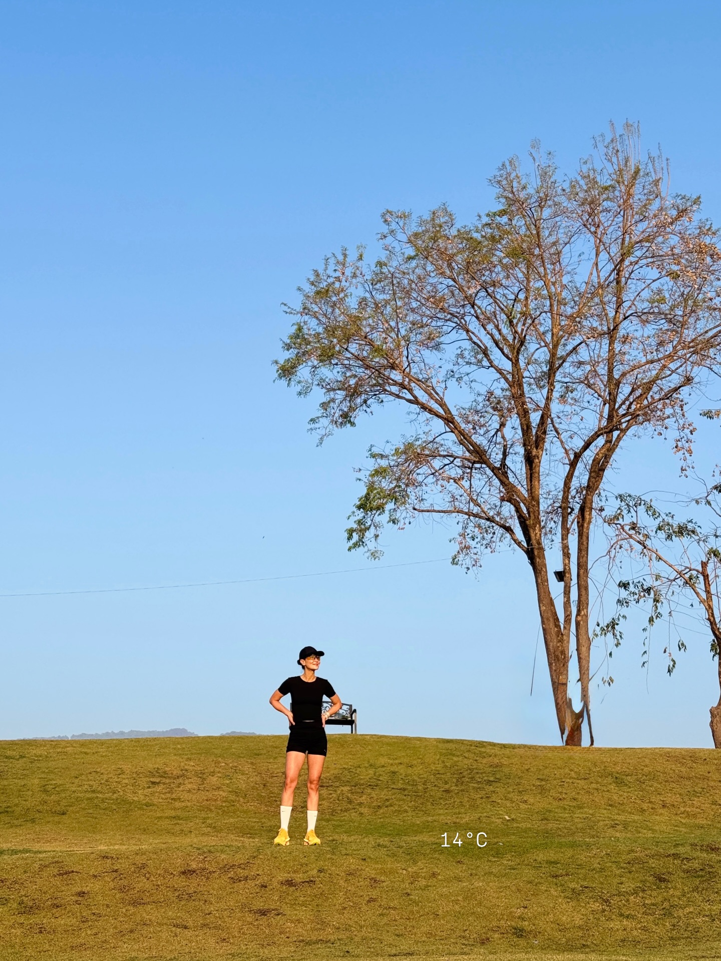 แอน ทองประสม