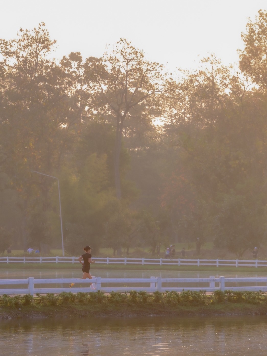 แอน ทองประสม