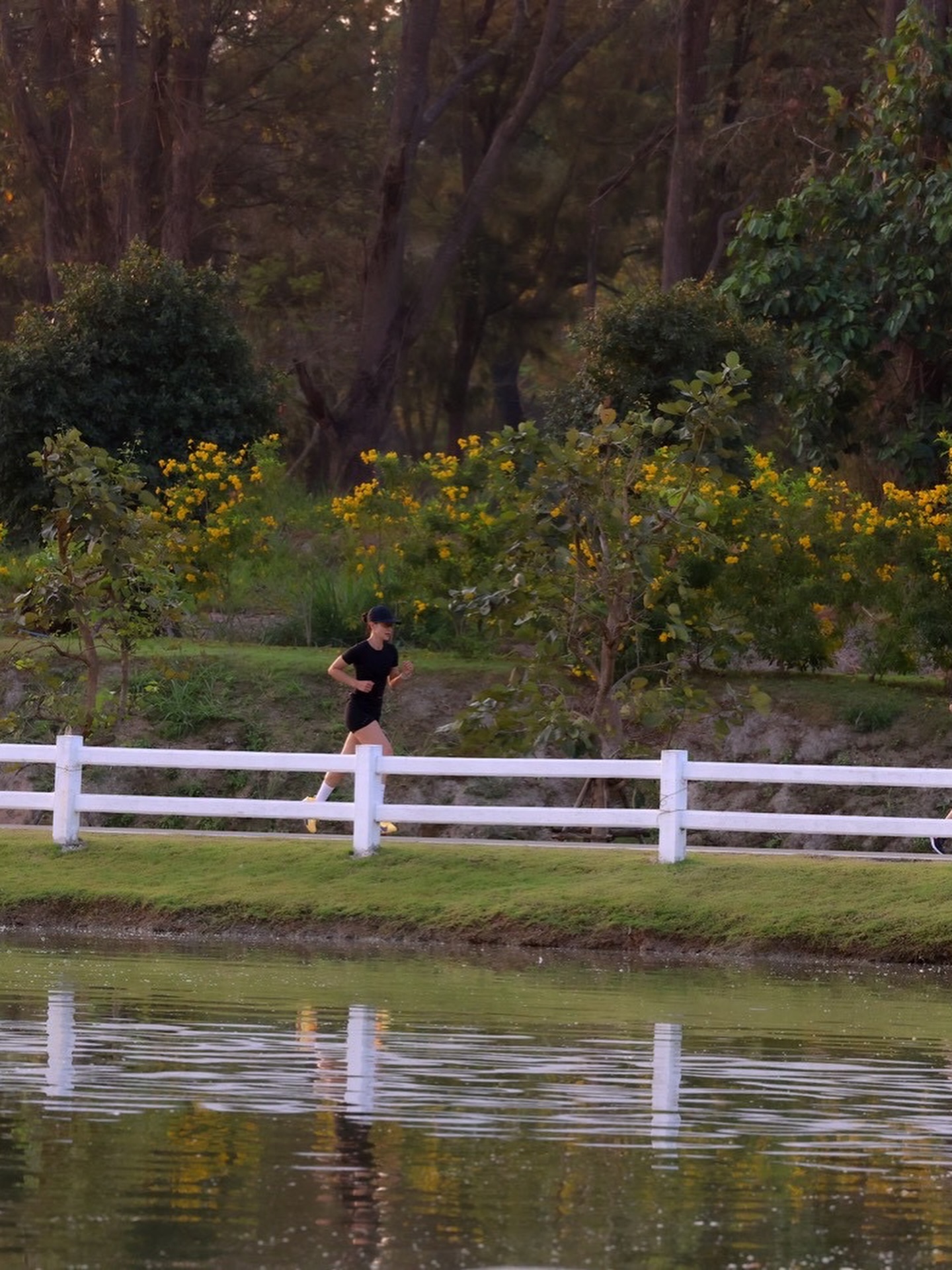 แอน ทองประสม