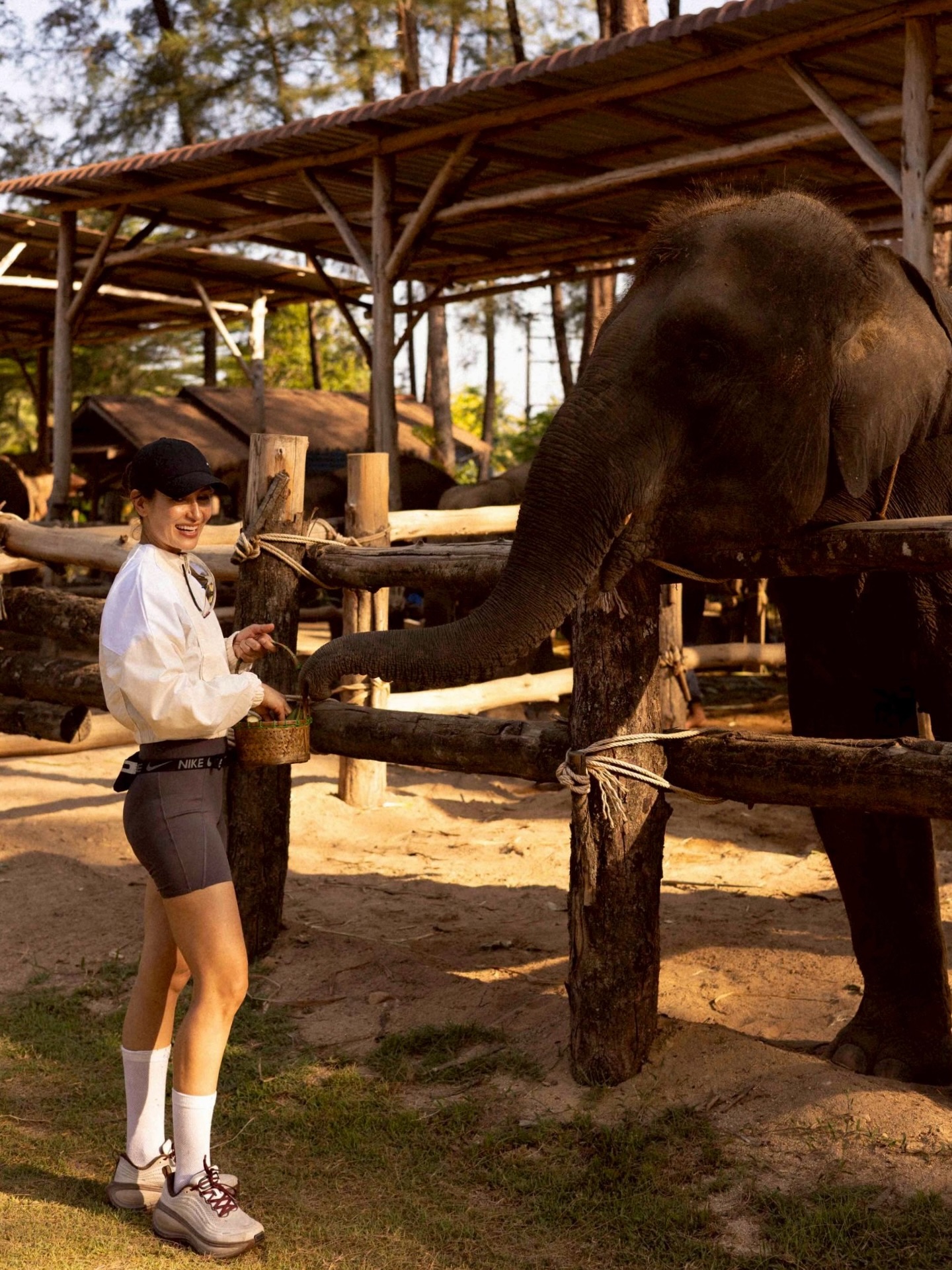 แอน ทองประสม