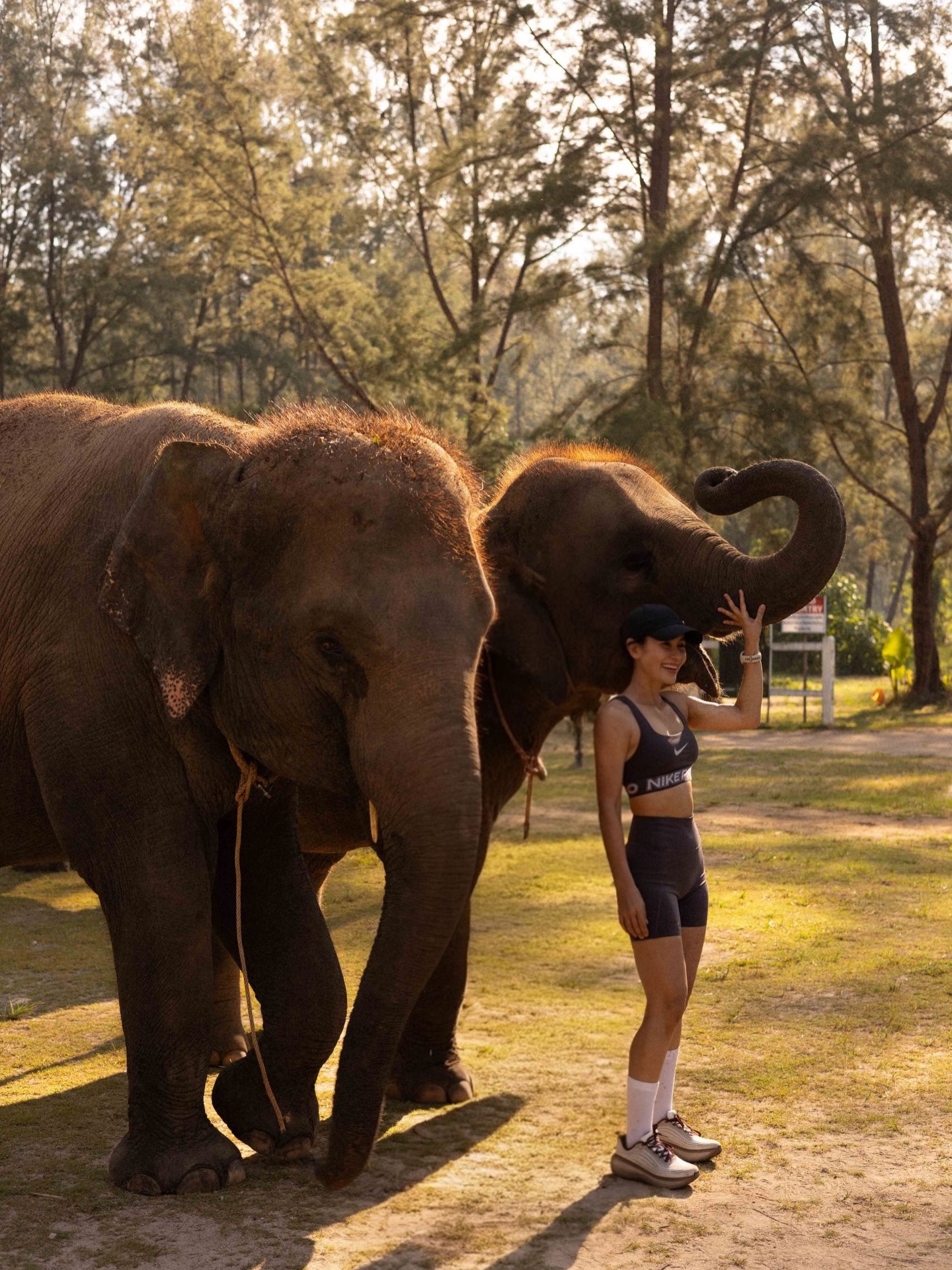 แอน ทองประสม