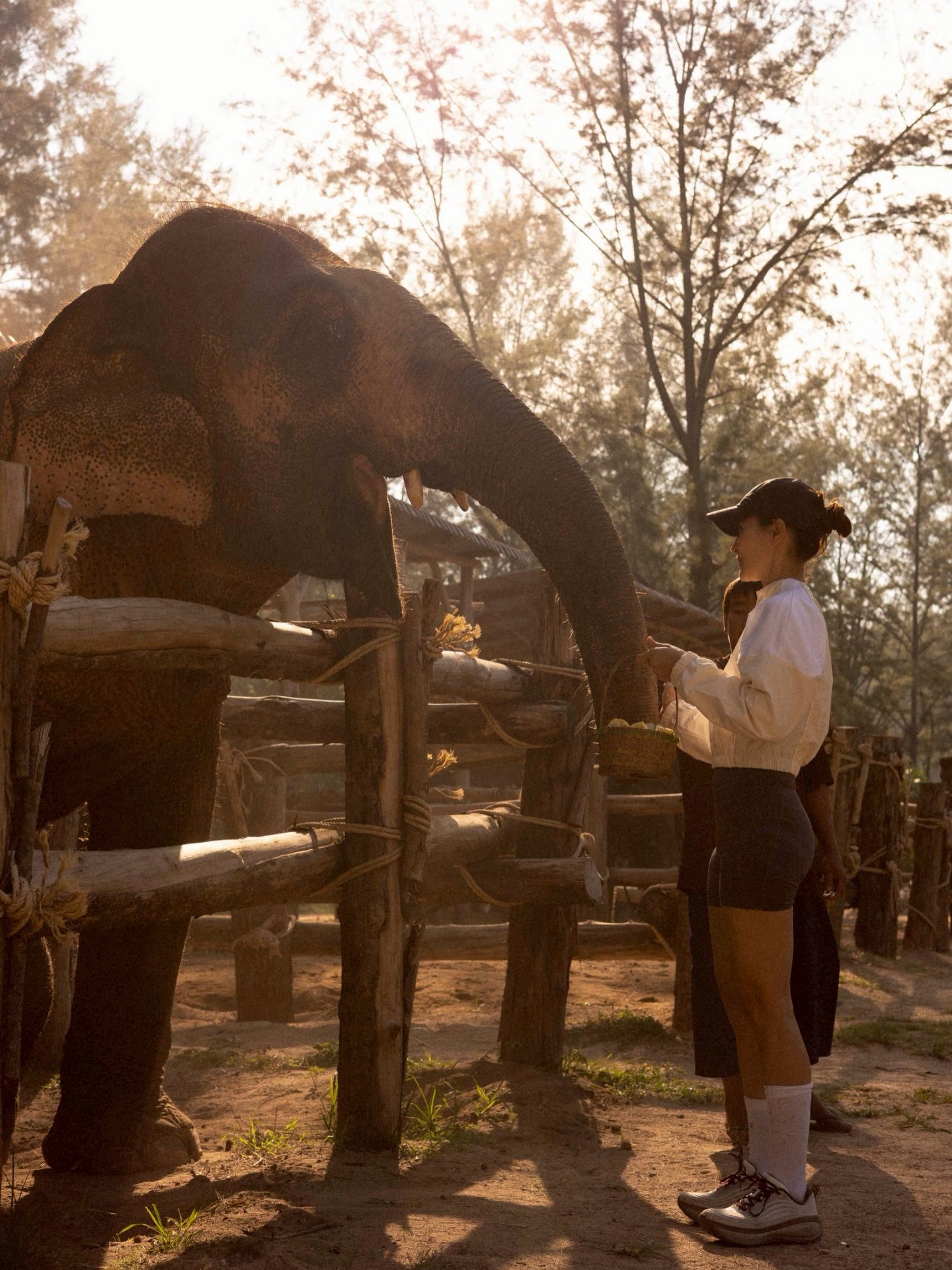 แอน ทองประสม