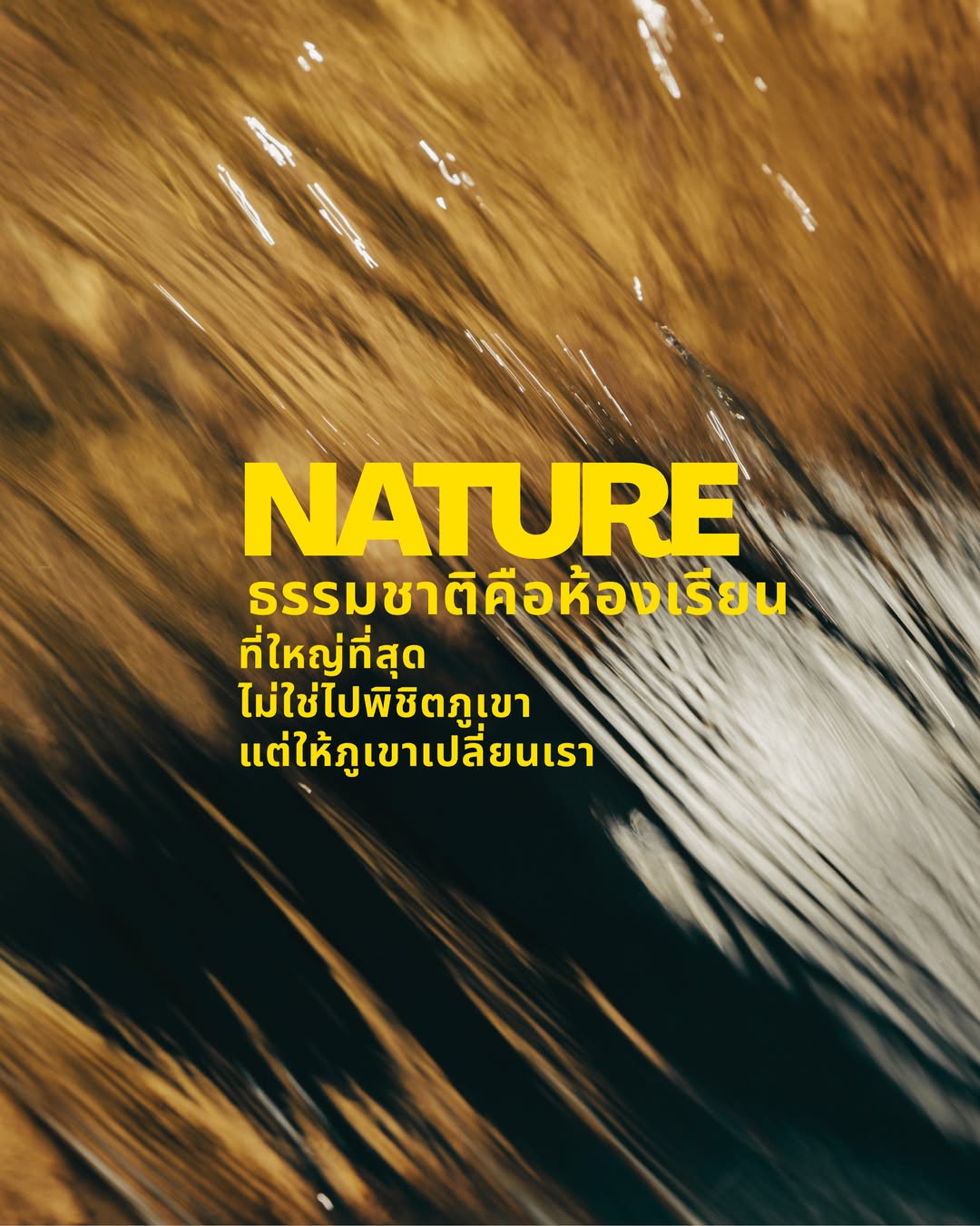 แอน ทองประสม