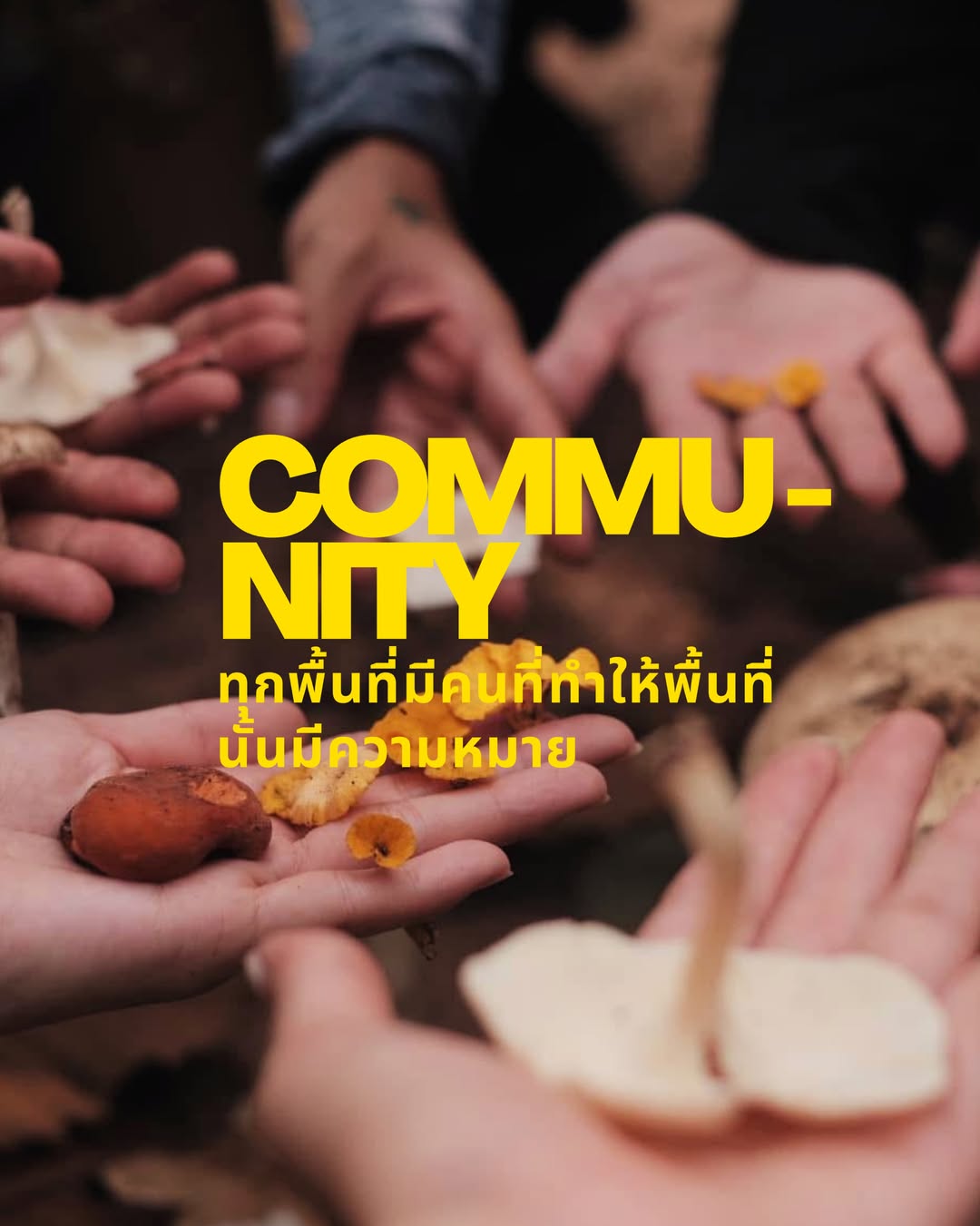 แอน ทองประสม