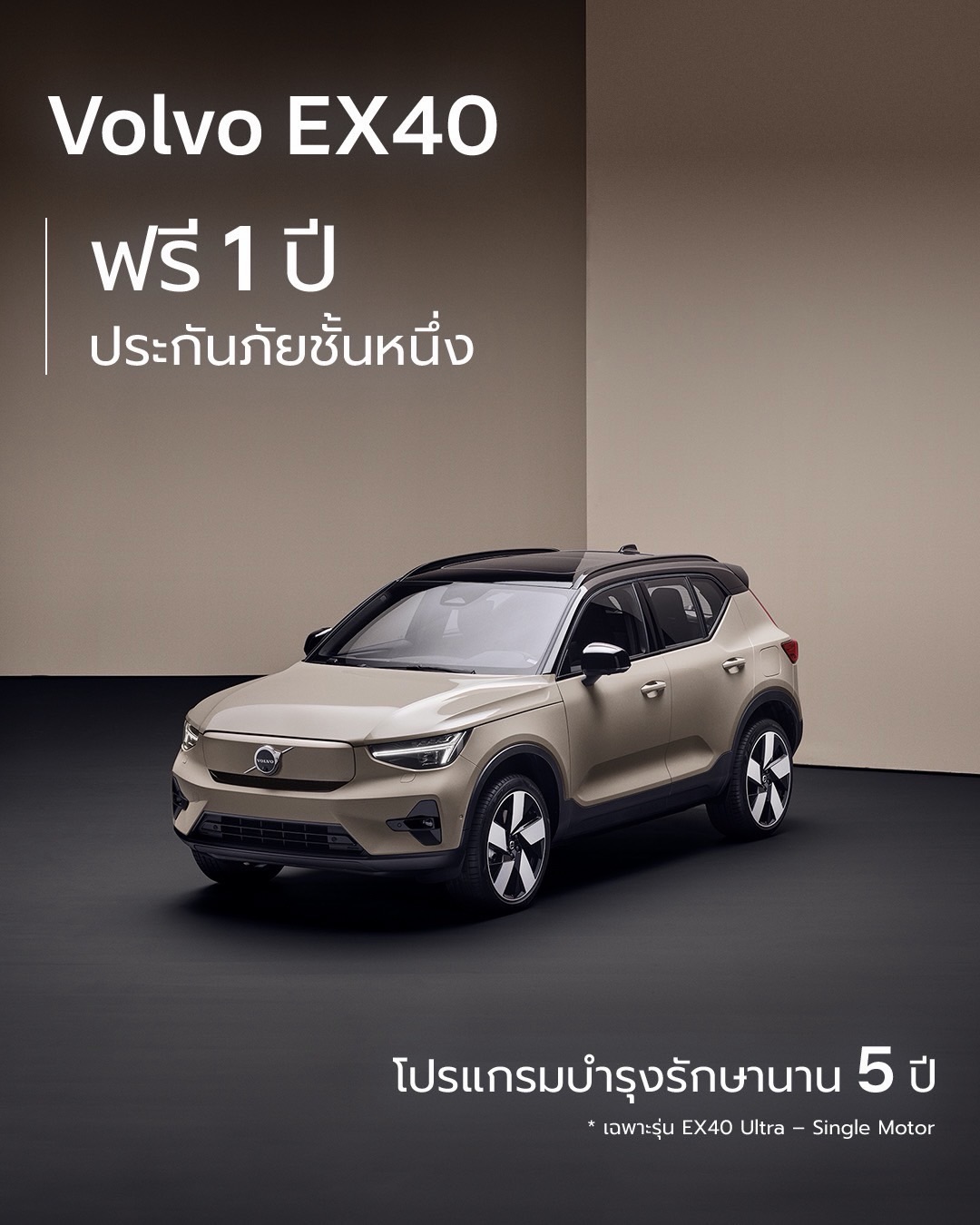 แอน ทองประสม