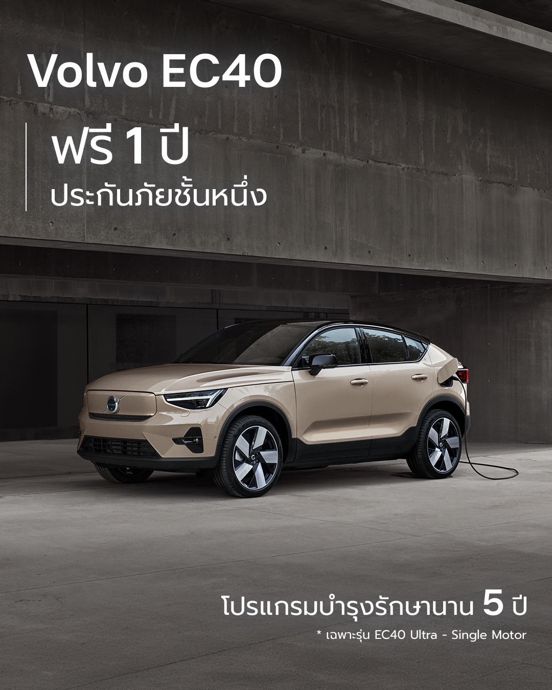 แอน ทองประสม