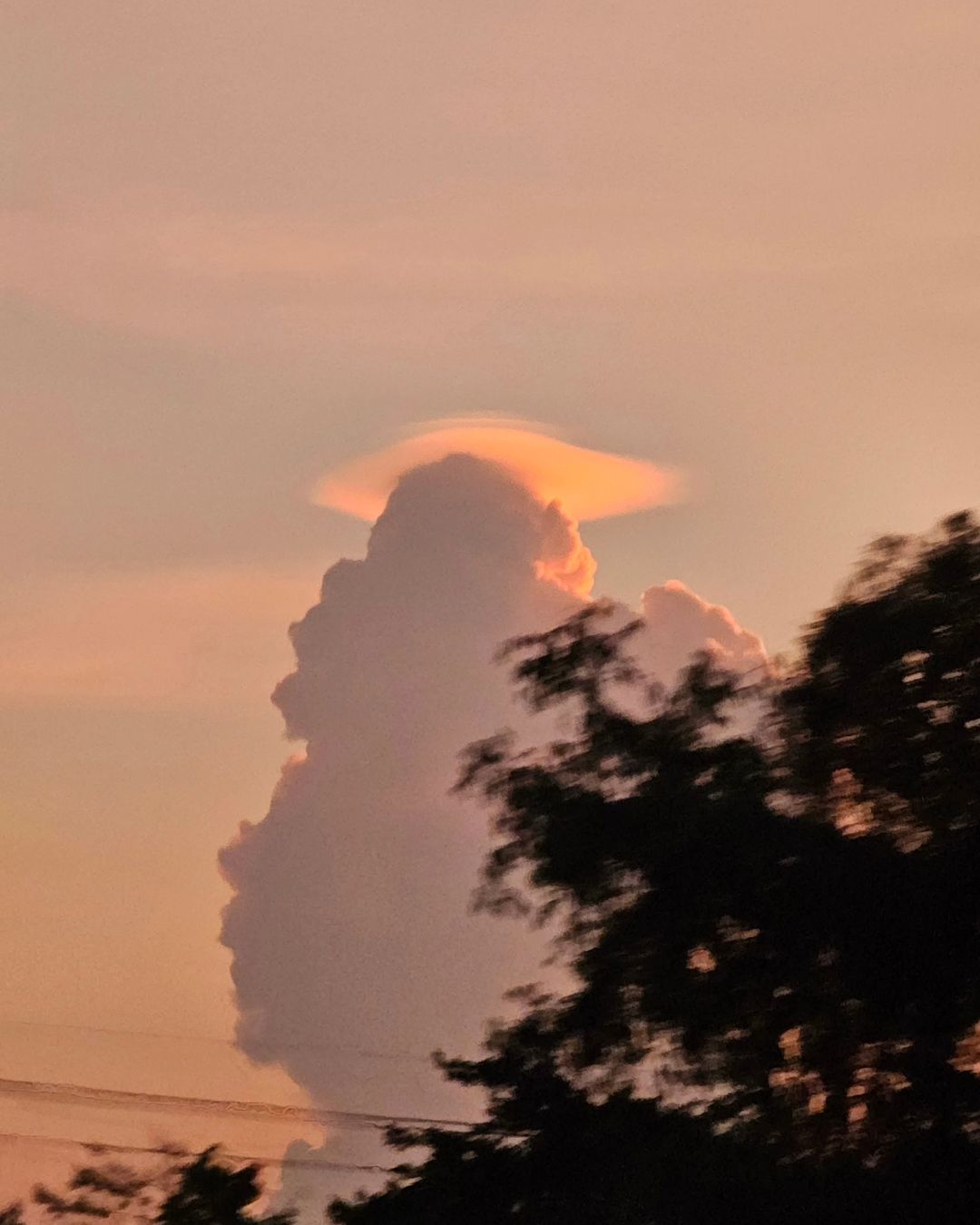 ใบเตย - สุวพิชญ์ ไตรพรวรกิจ