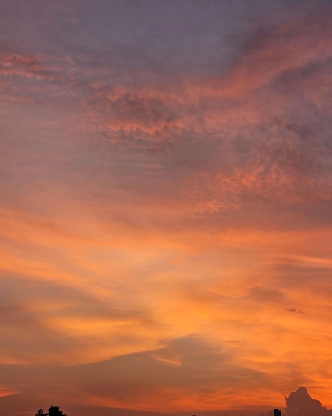 ใบเตย - สุวพิชญ์ ไตรพรวรกิจ