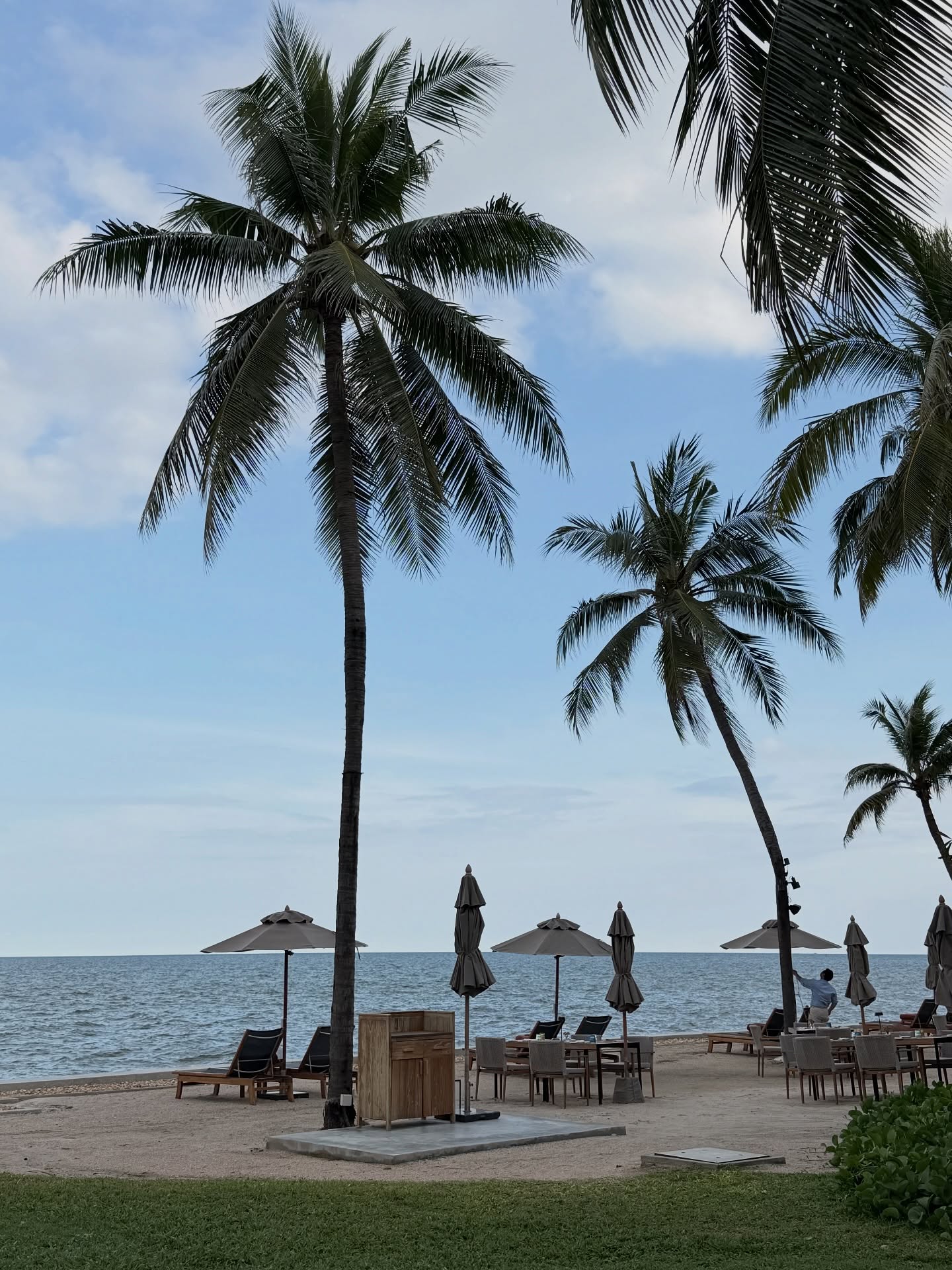 ใบเตย - สุวพิชญ์ ไตรพรวรกิจ