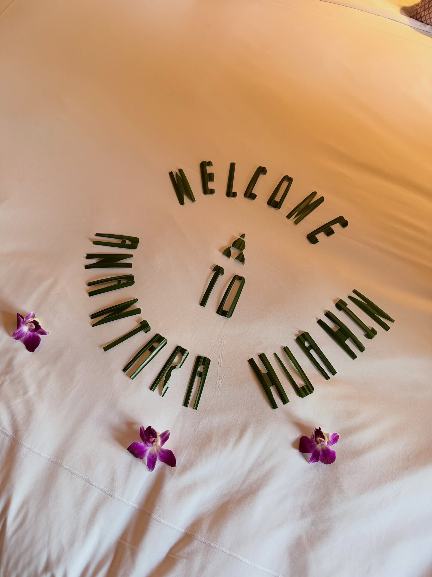 ใบเตย - สุวพิชญ์ ไตรพรวรกิจ