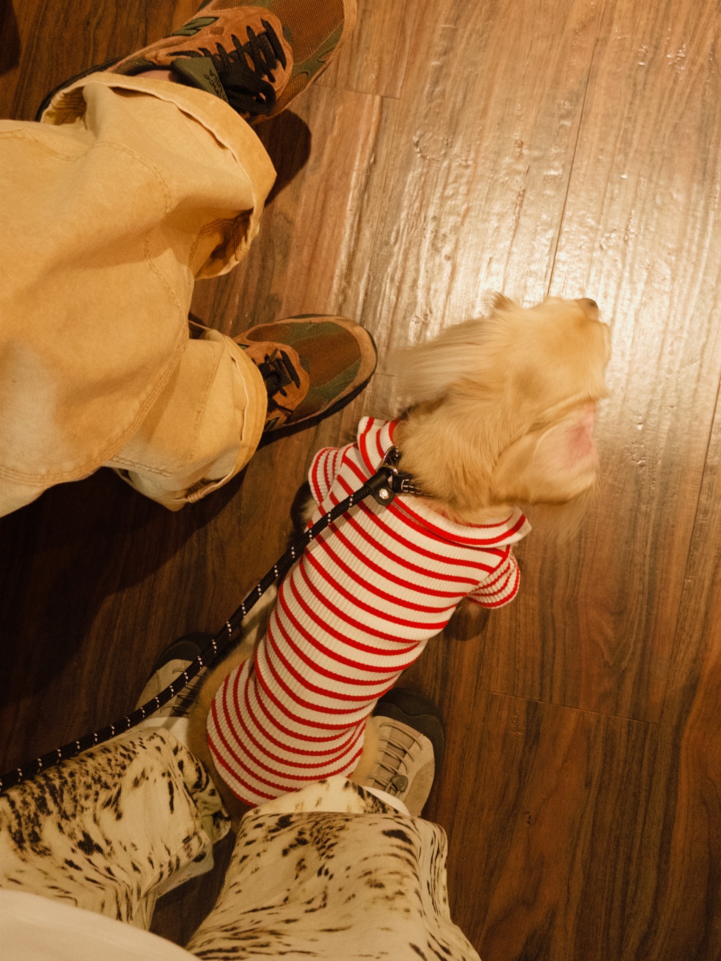 ใบเตย - สุวพิชญ์ ไตรพรวรกิจ