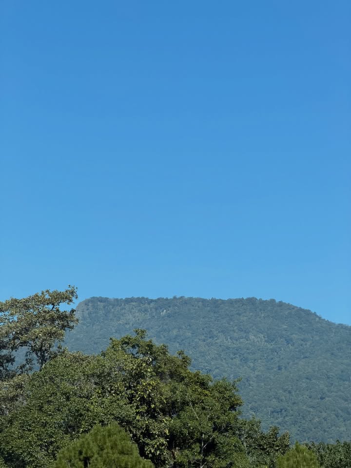 ใบเตย - สุวพิชญ์ ไตรพรวรกิจ