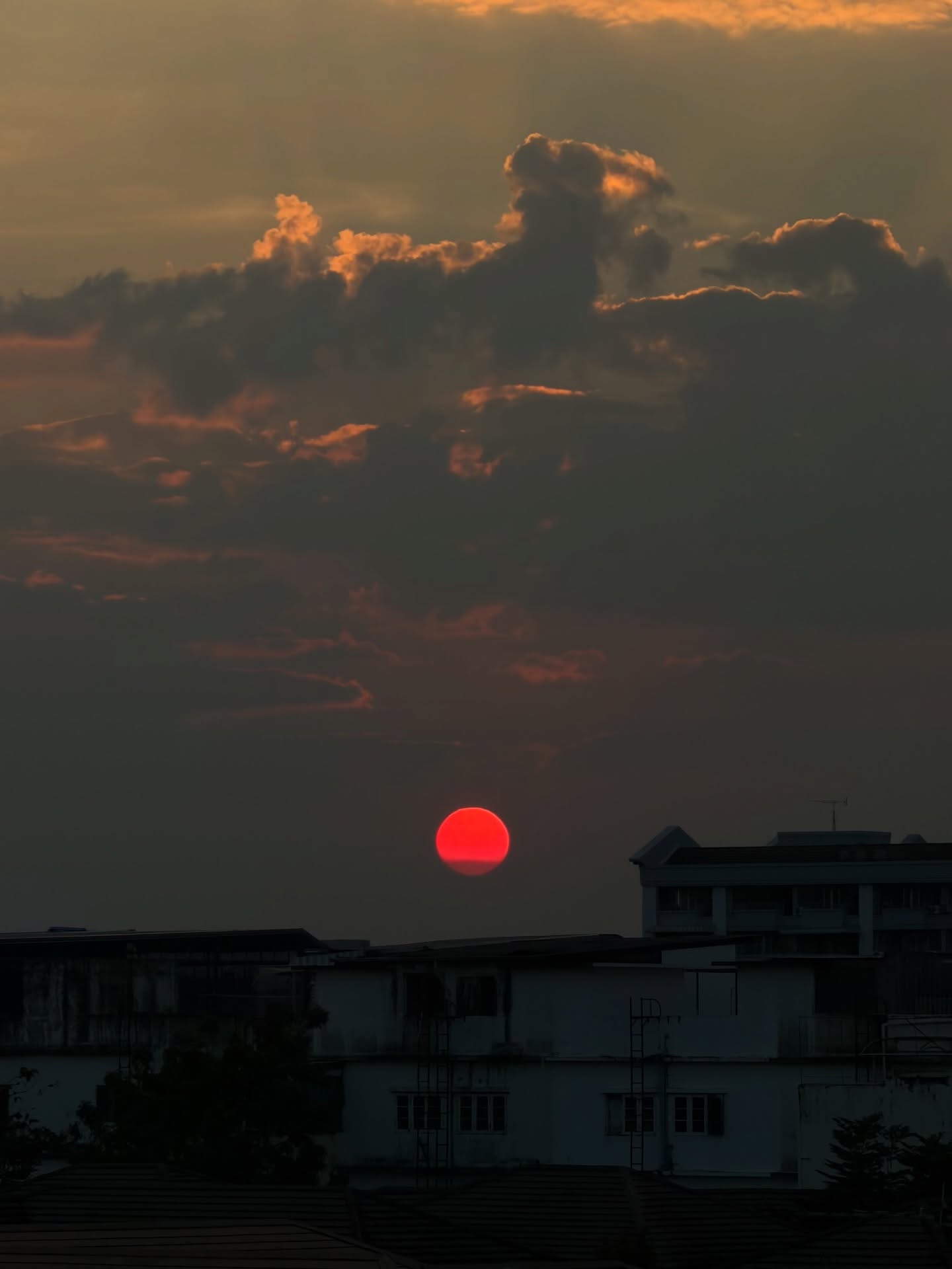 ใบเตย - สุวพิชญ์ ไตรพรวรกิจ