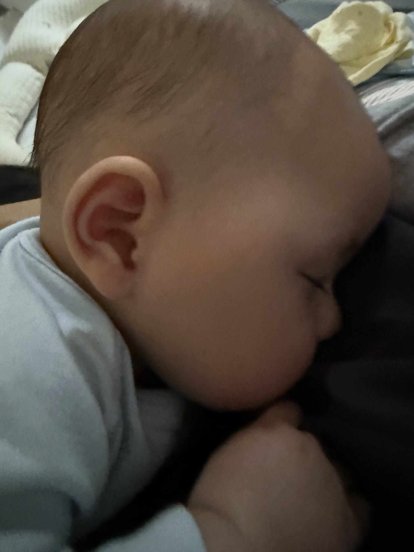 ใบเตย - สุวพิชญ์ ไตรพรวรกิจ