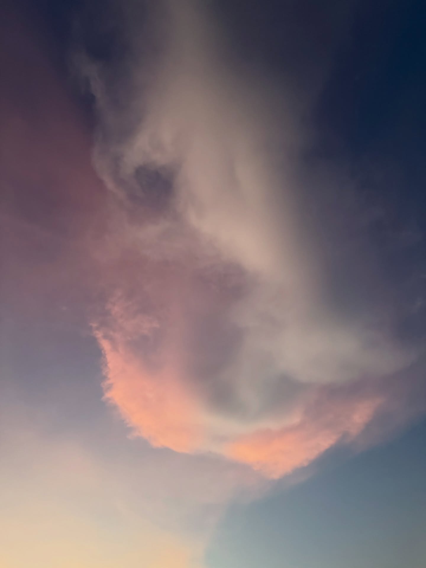 ใบเตย - สุวพิชญ์ ไตรพรวรกิจ