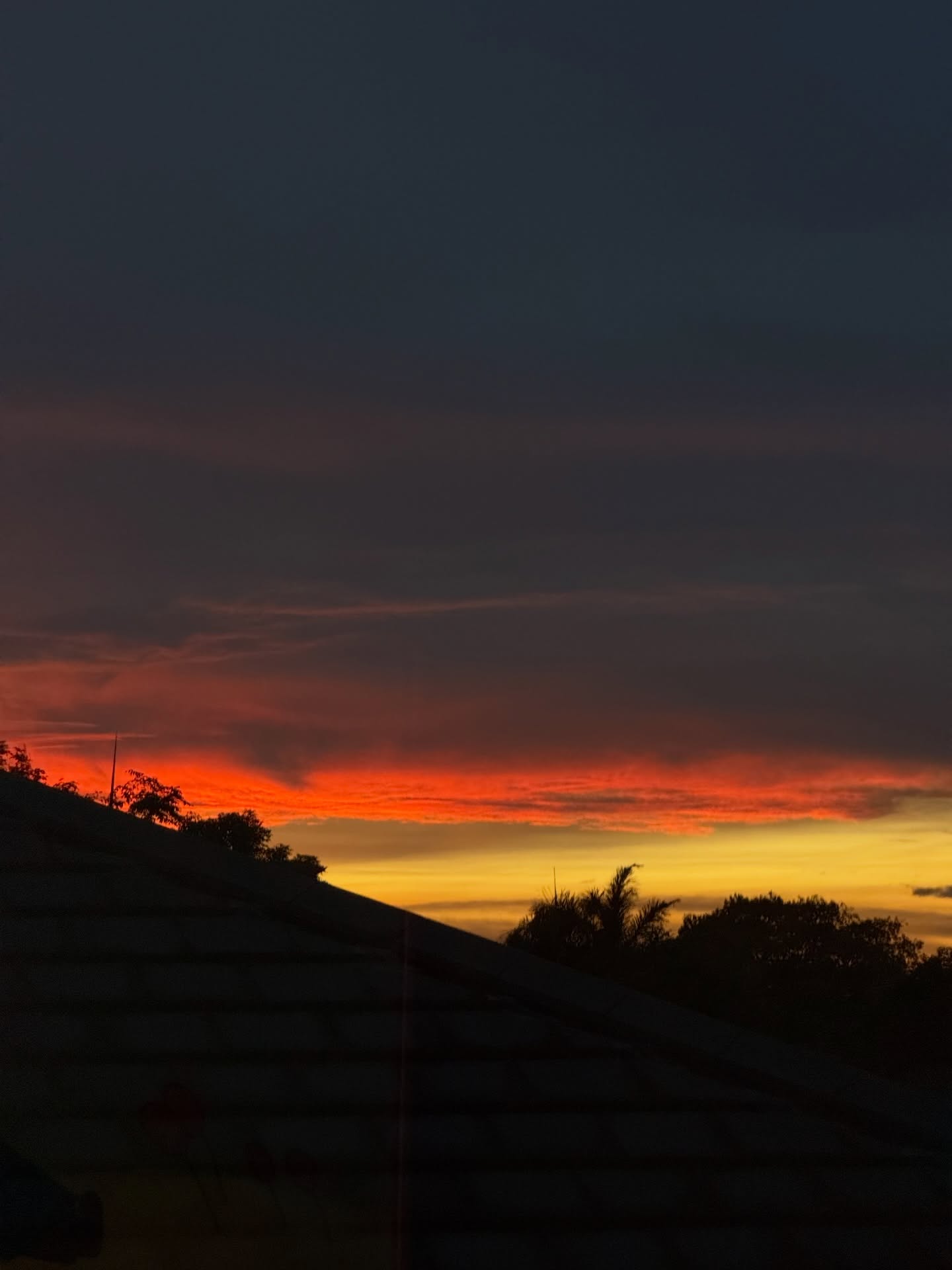 ใบเตย - สุวพิชญ์ ไตรพรวรกิจ